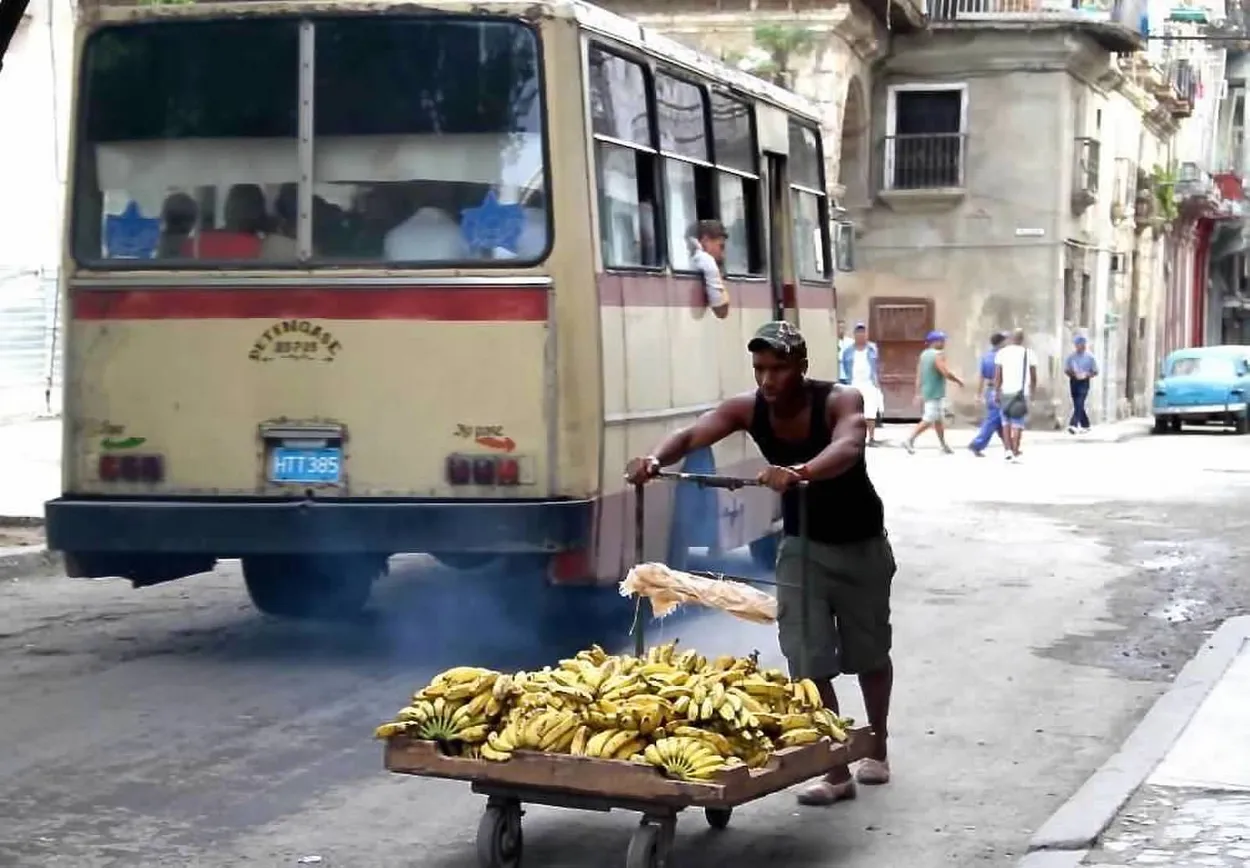 Yes We Have No Bananas Cuba