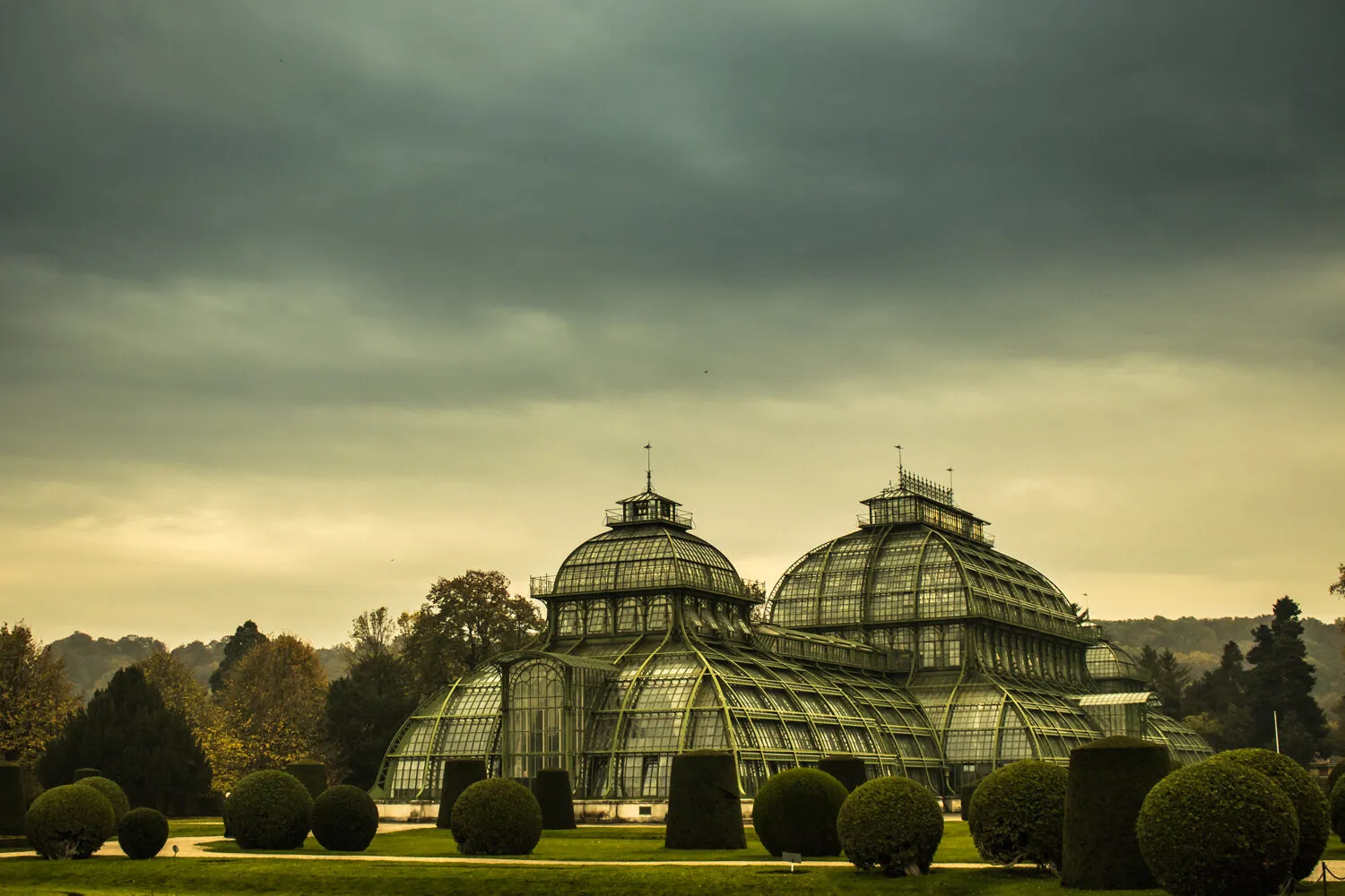 Palm house