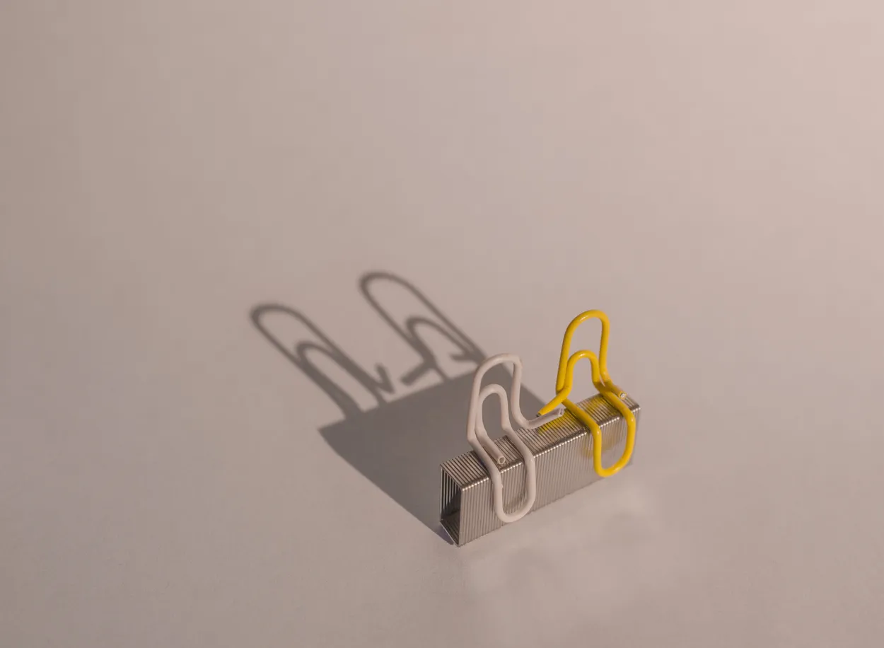 Untitled image