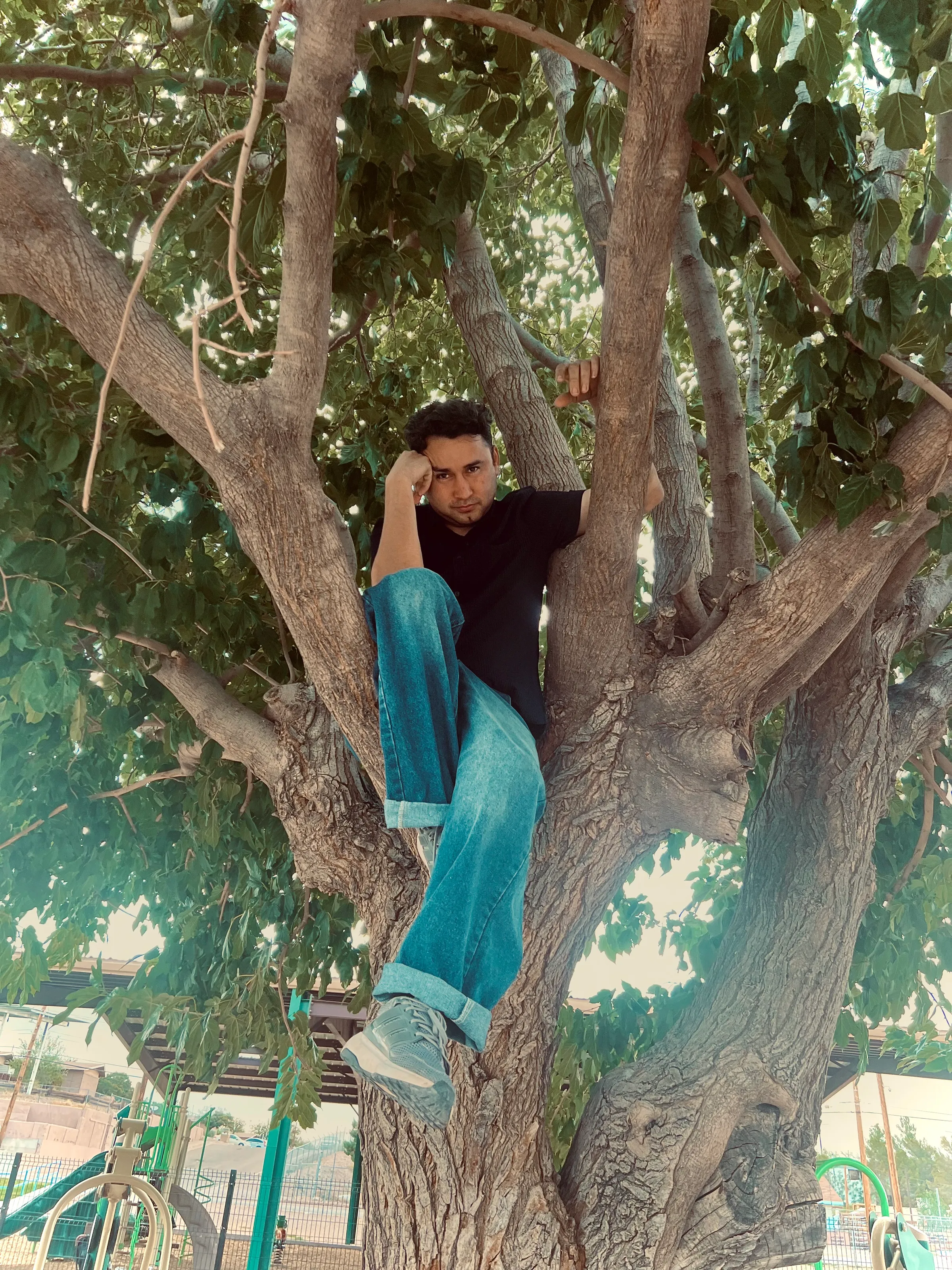 To feel majestic in nature