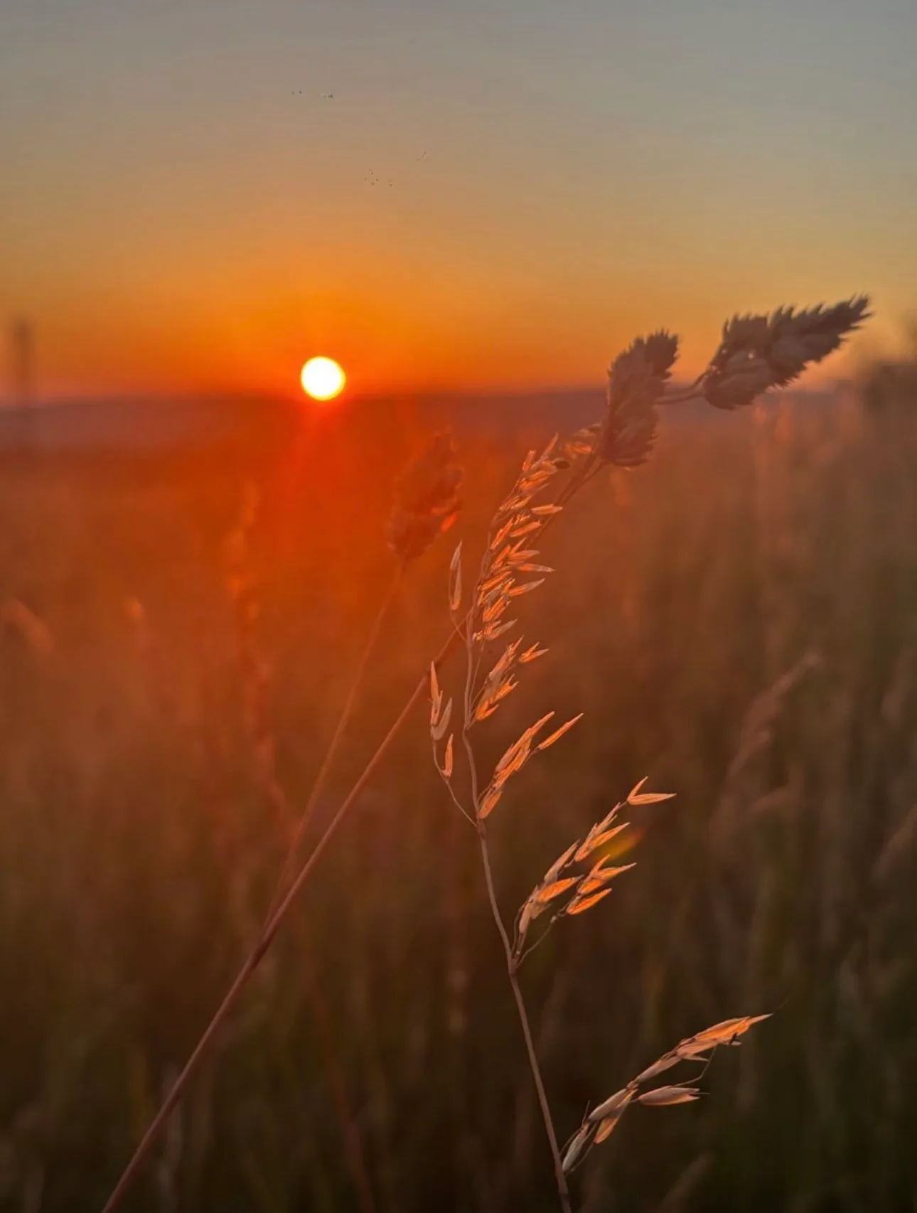Ivinghoe Beacon sunrise 🌅