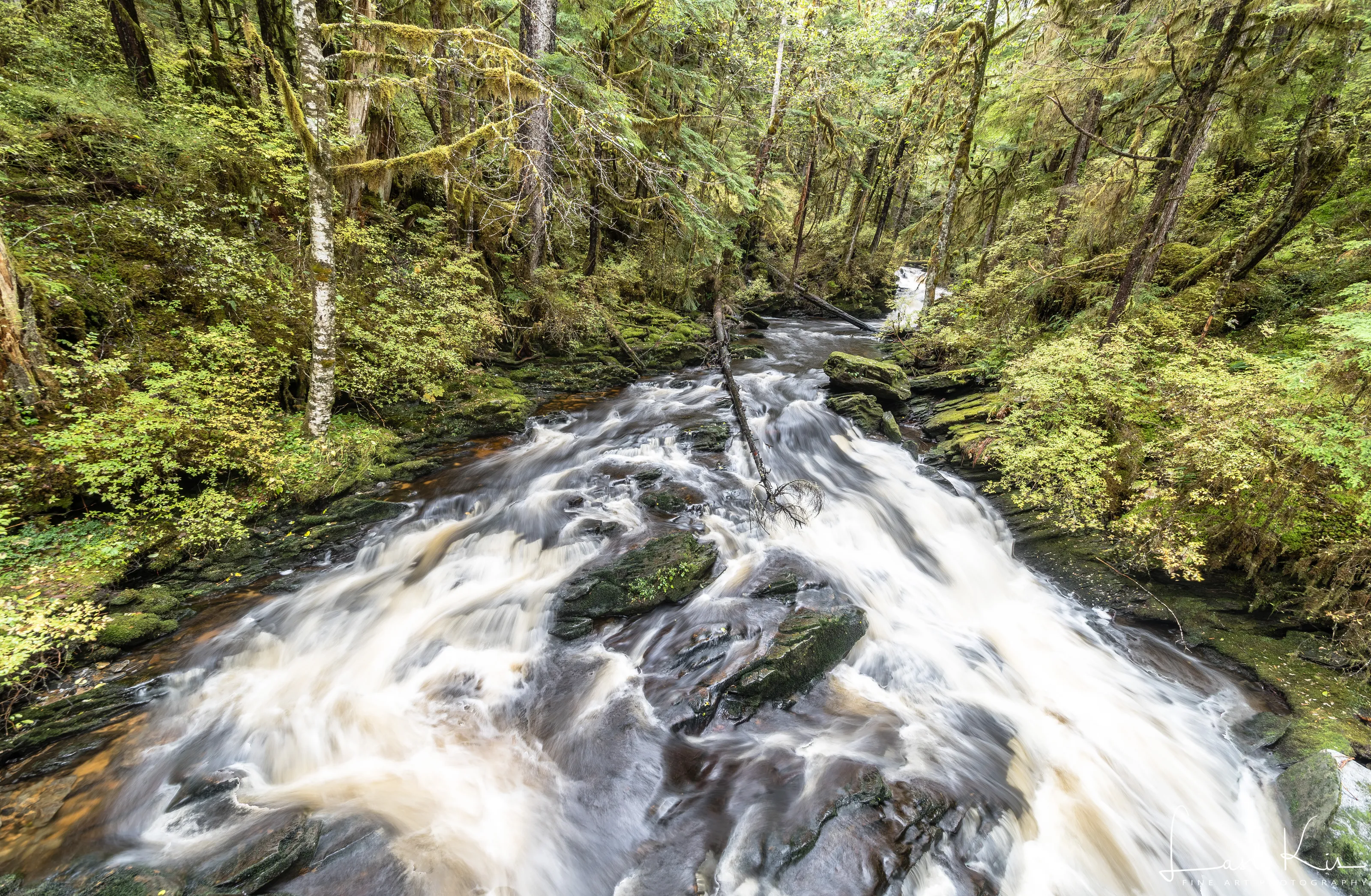 Lunch creek falls