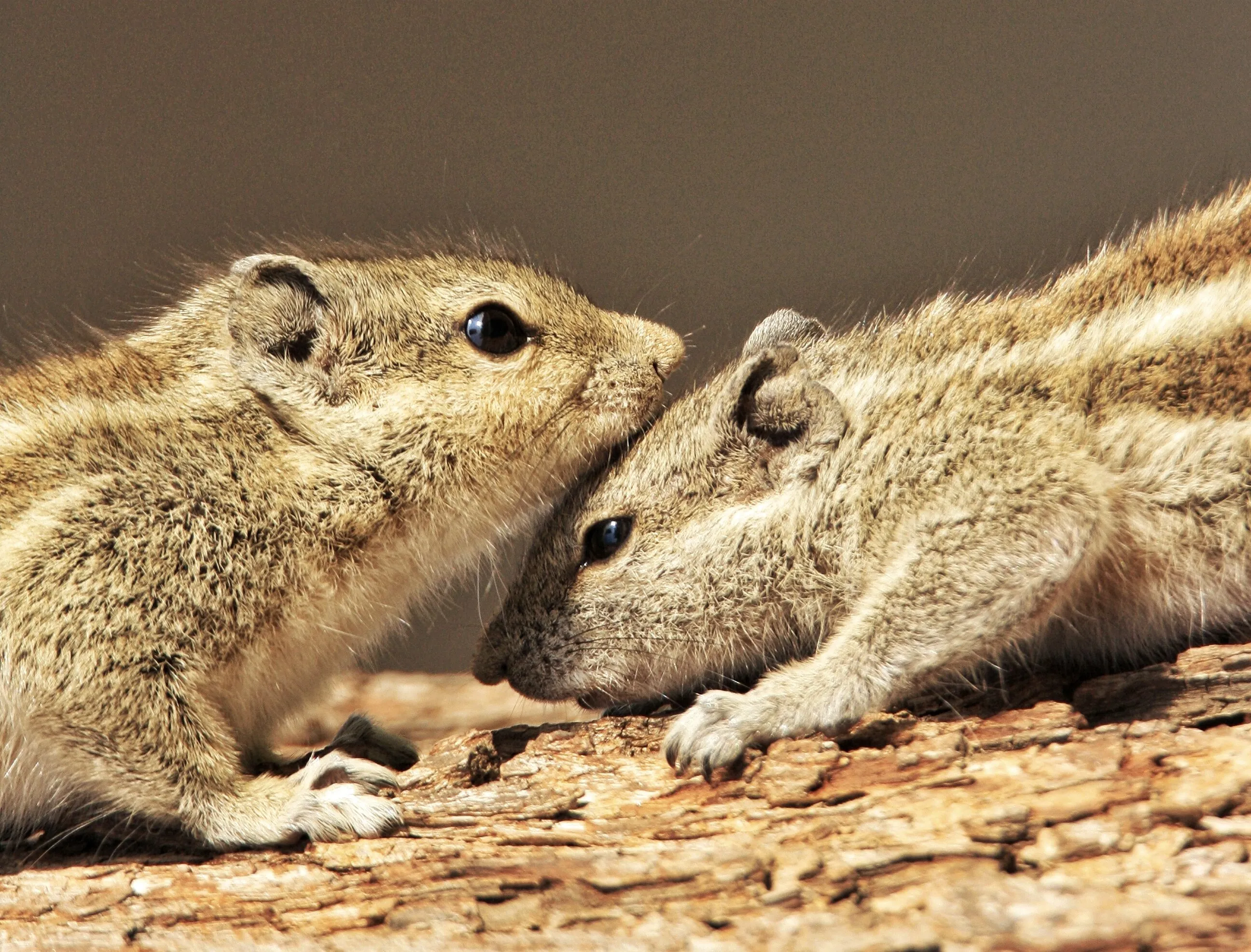 When there is love, there is life..