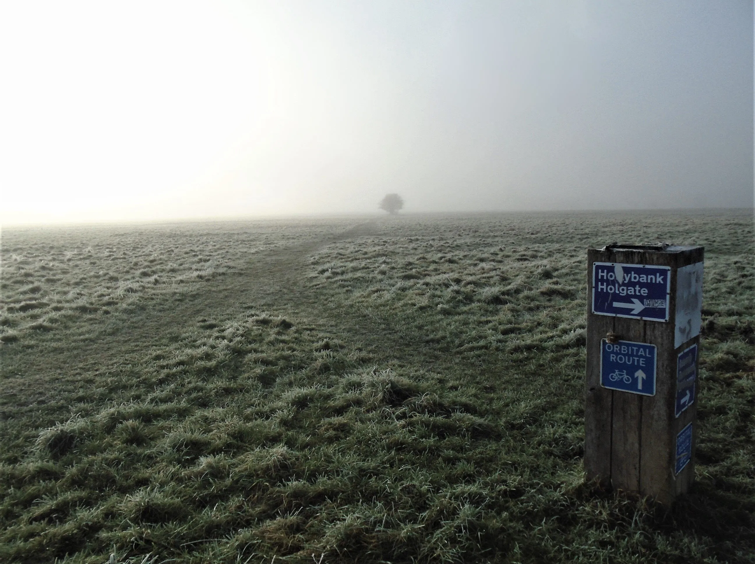 Hob Moor in York on a Winters Day