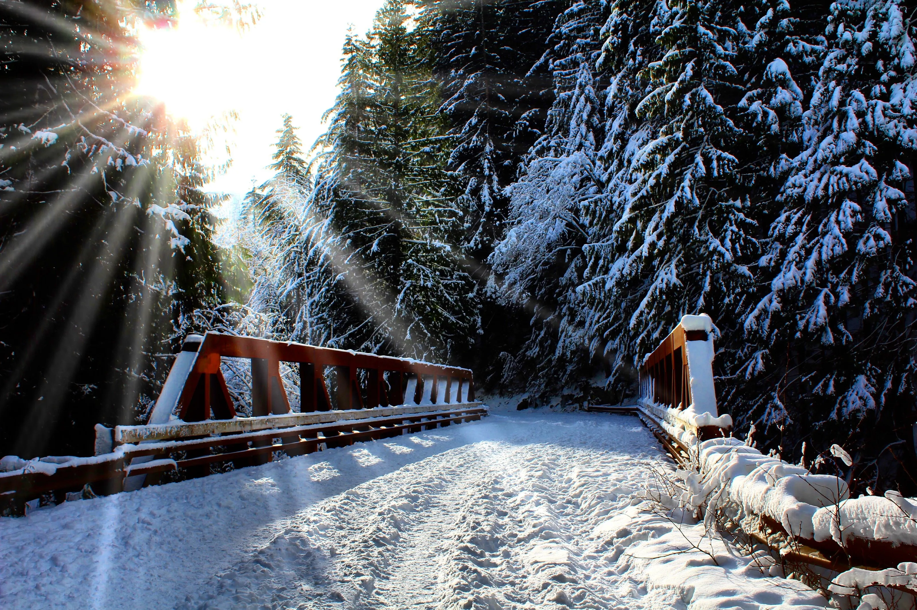 Winter wonderland