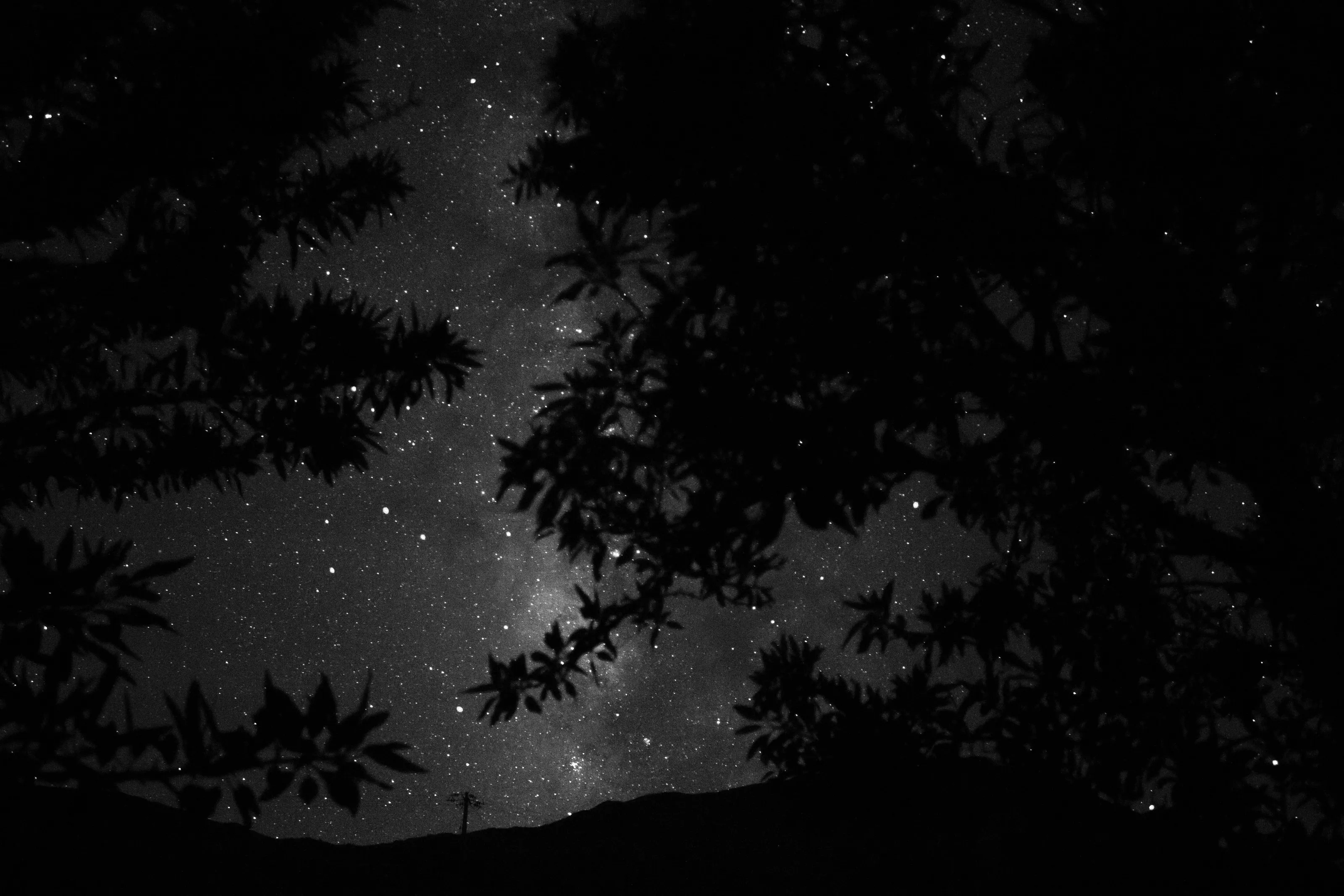 Another view to night sky