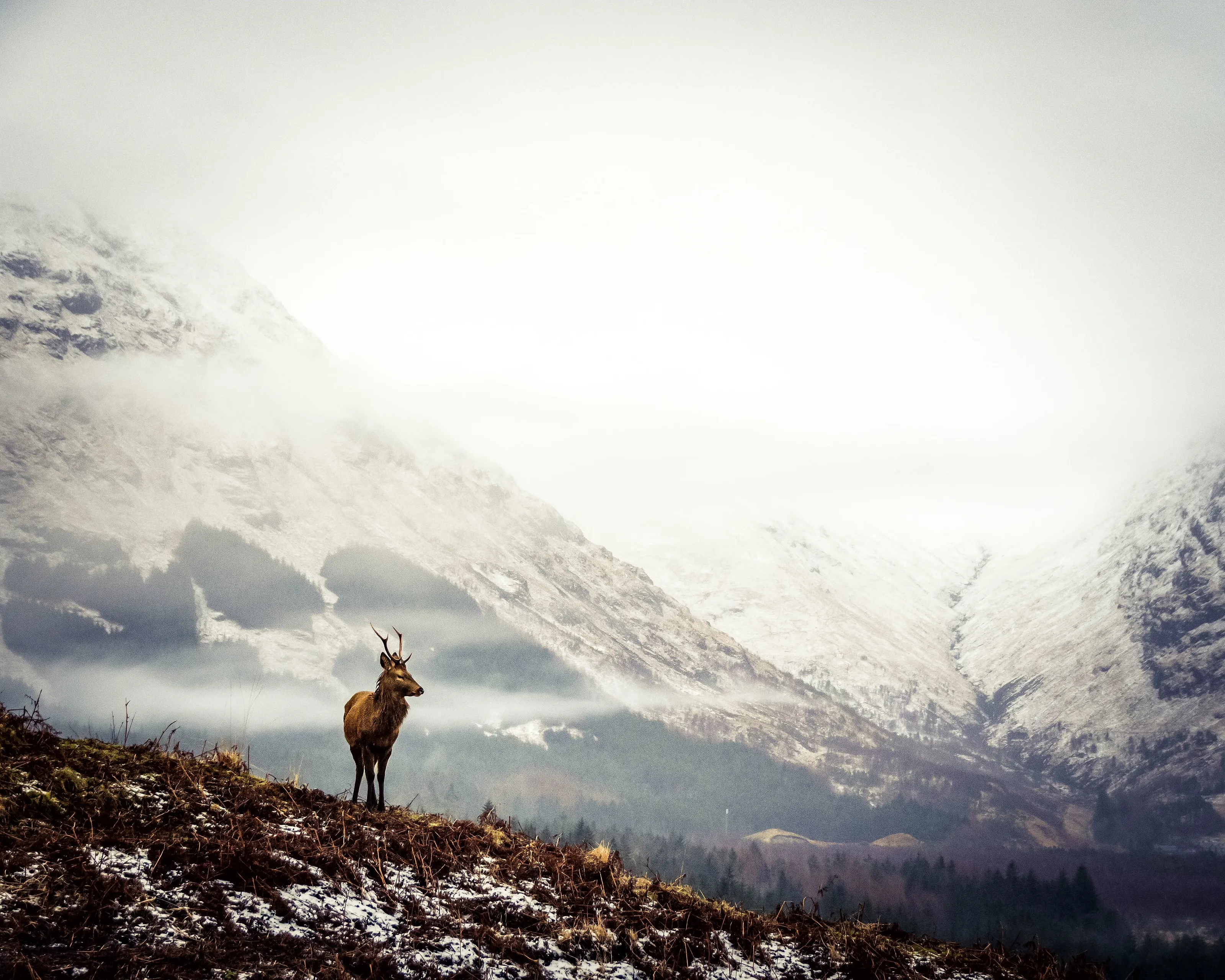 Skyfall