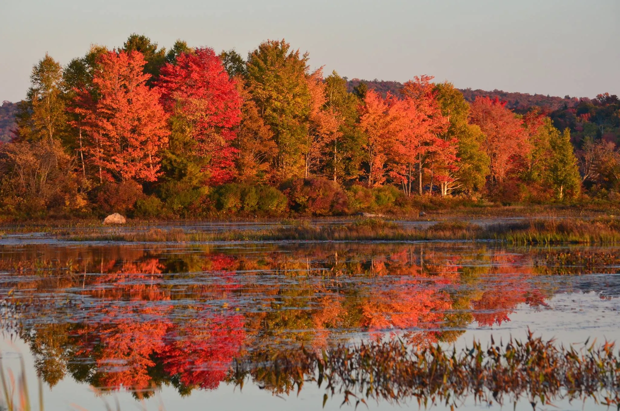 Fall Reflections
