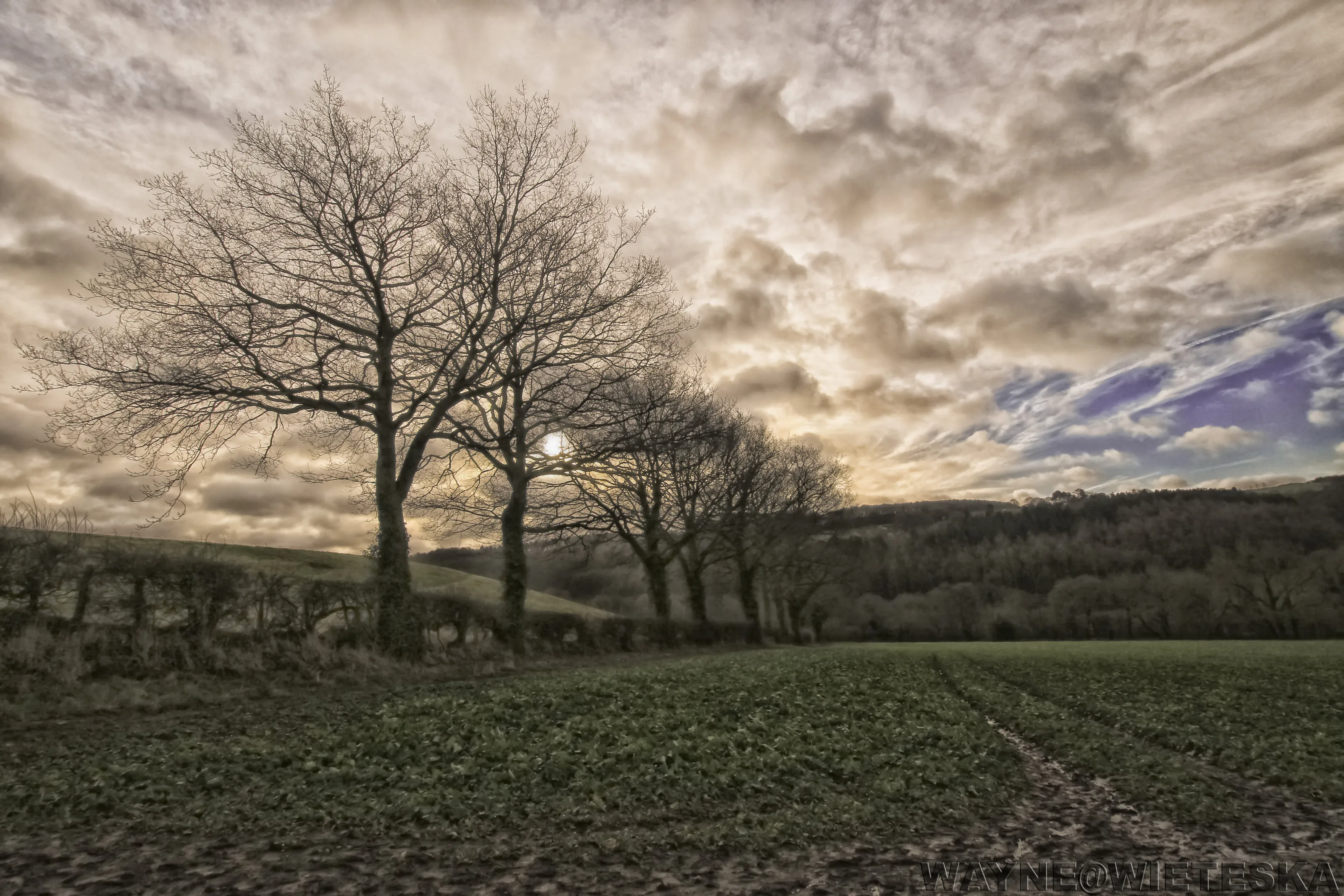 Cloudy Day