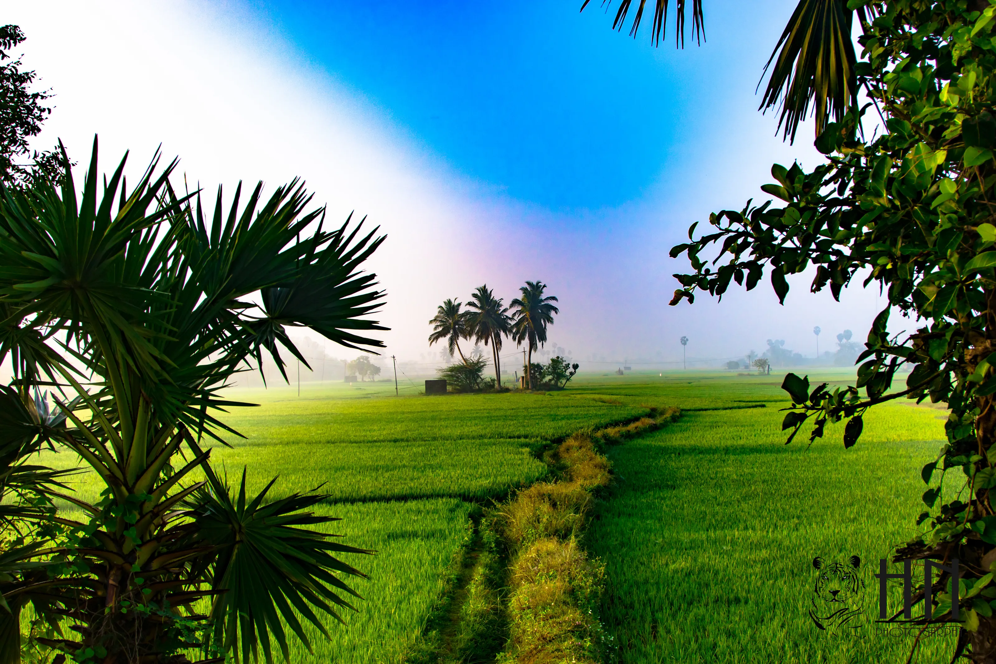 Landscape