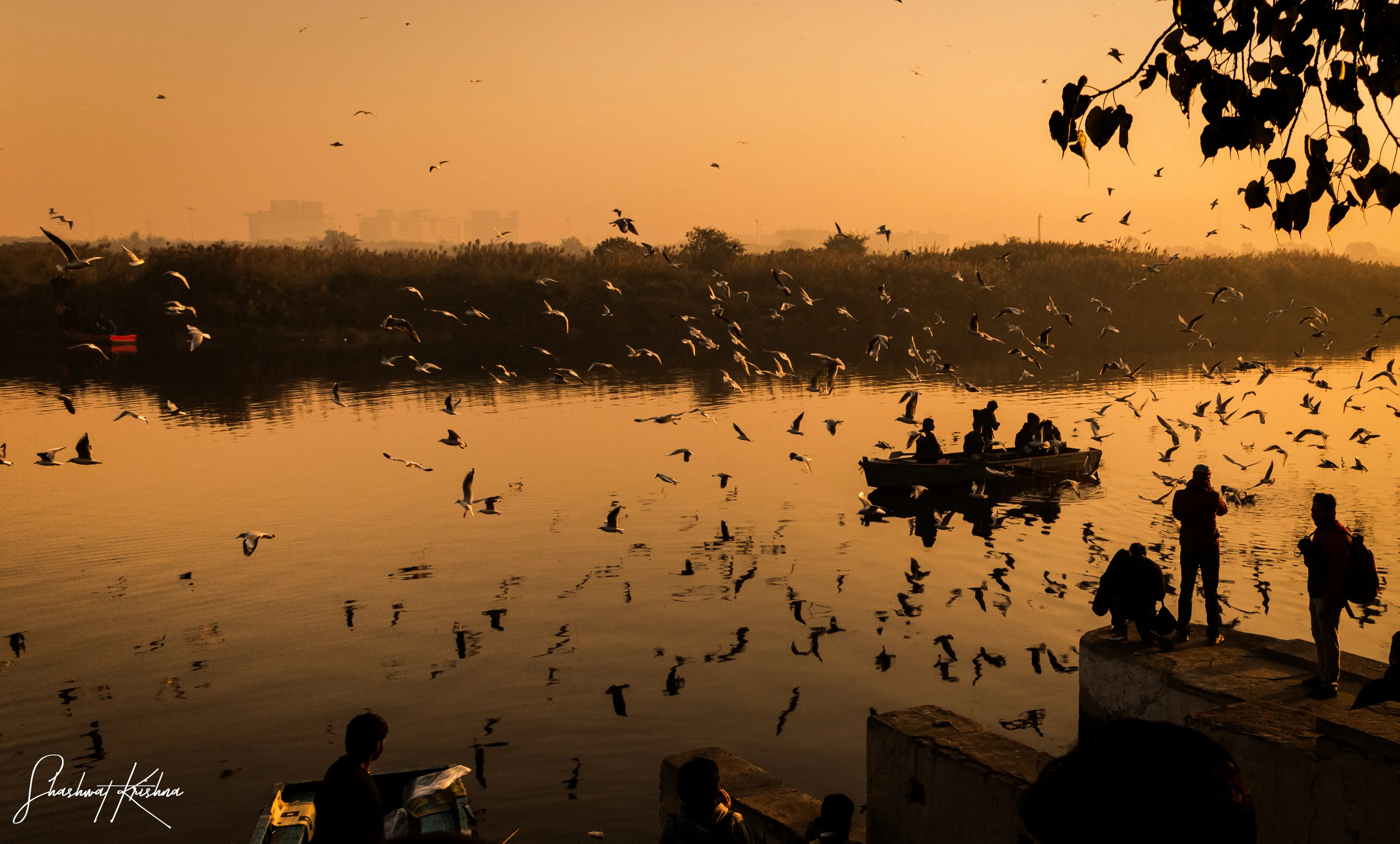 Morning At Yamuna Ghat