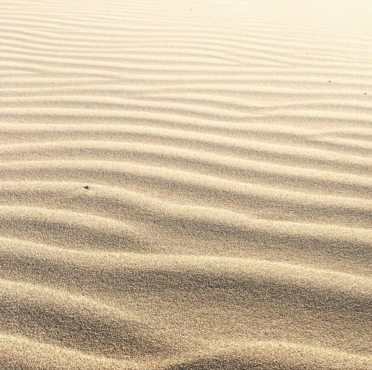 Sand / Arena