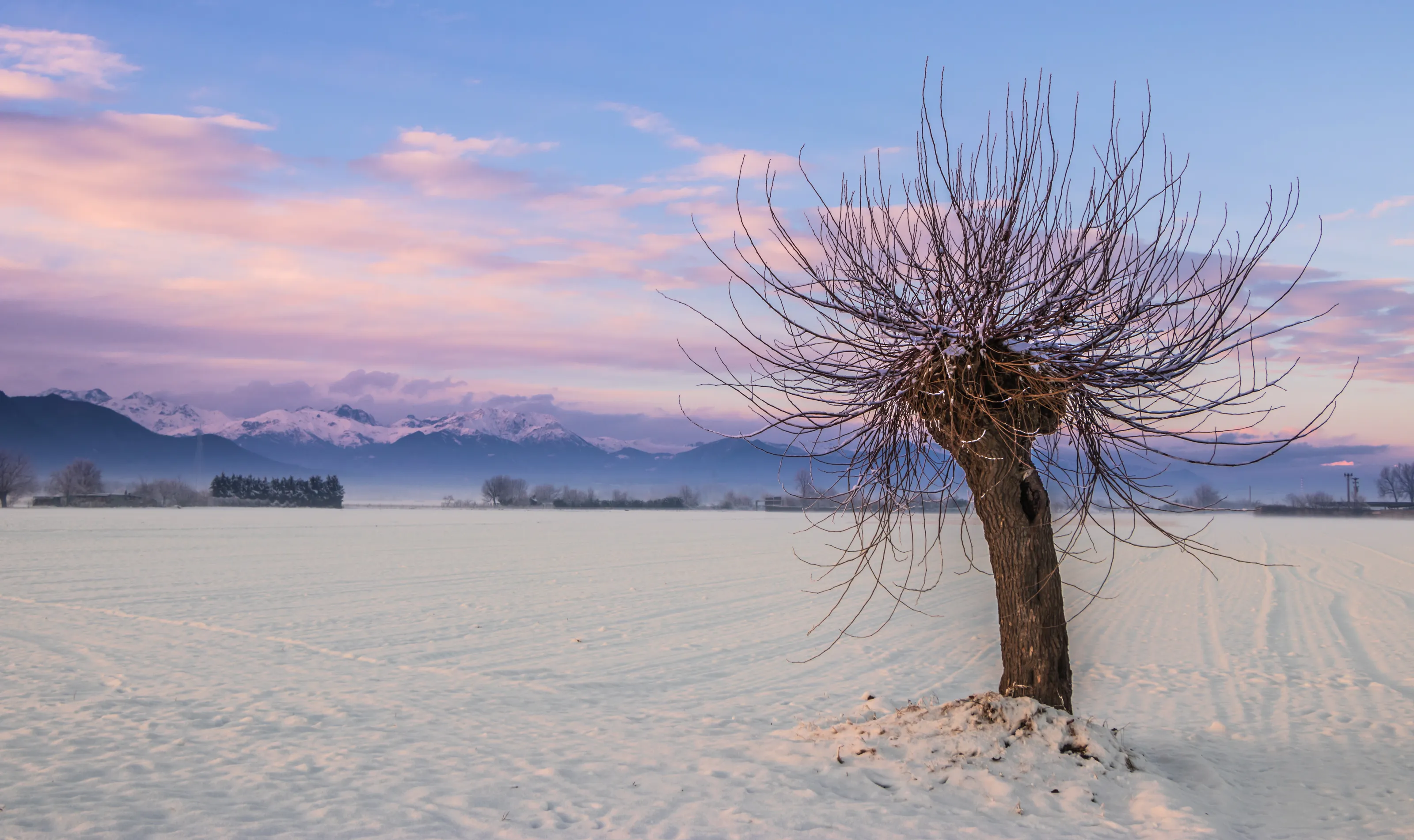 Waiting for spring