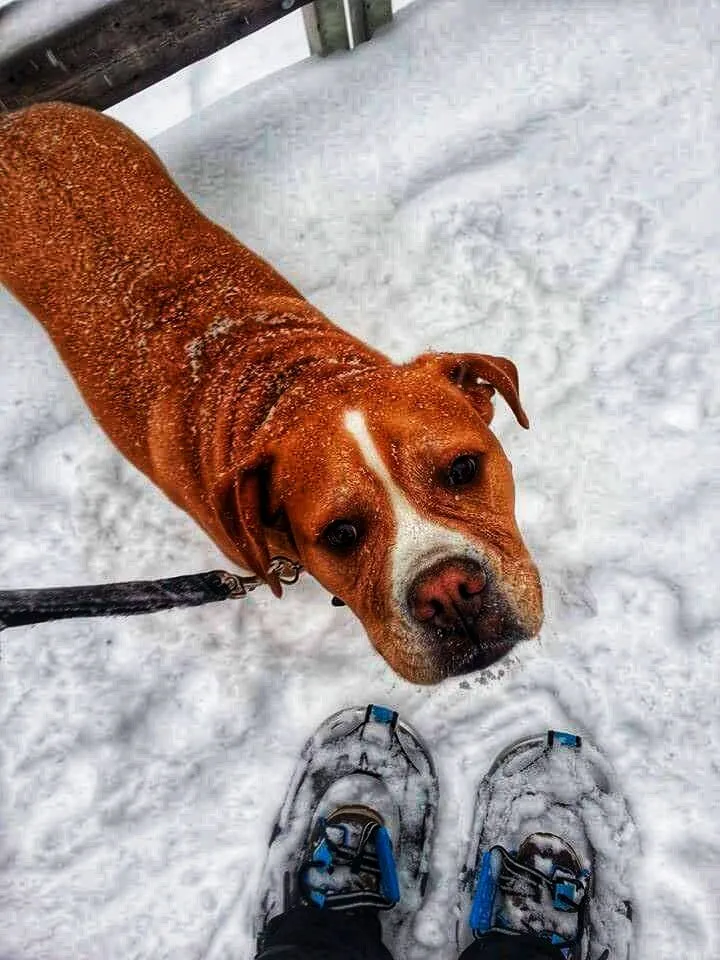 Winter adventures