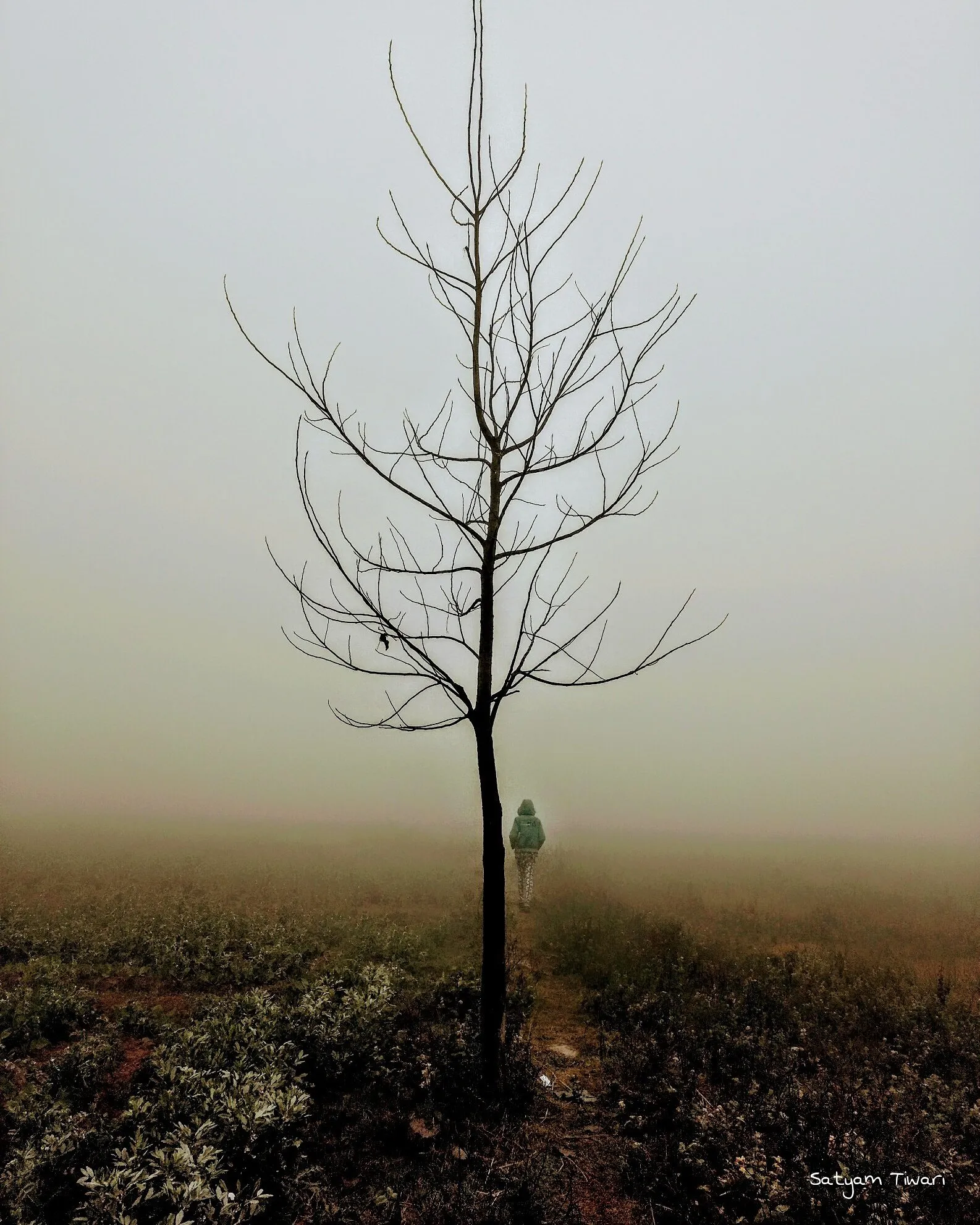 save trees