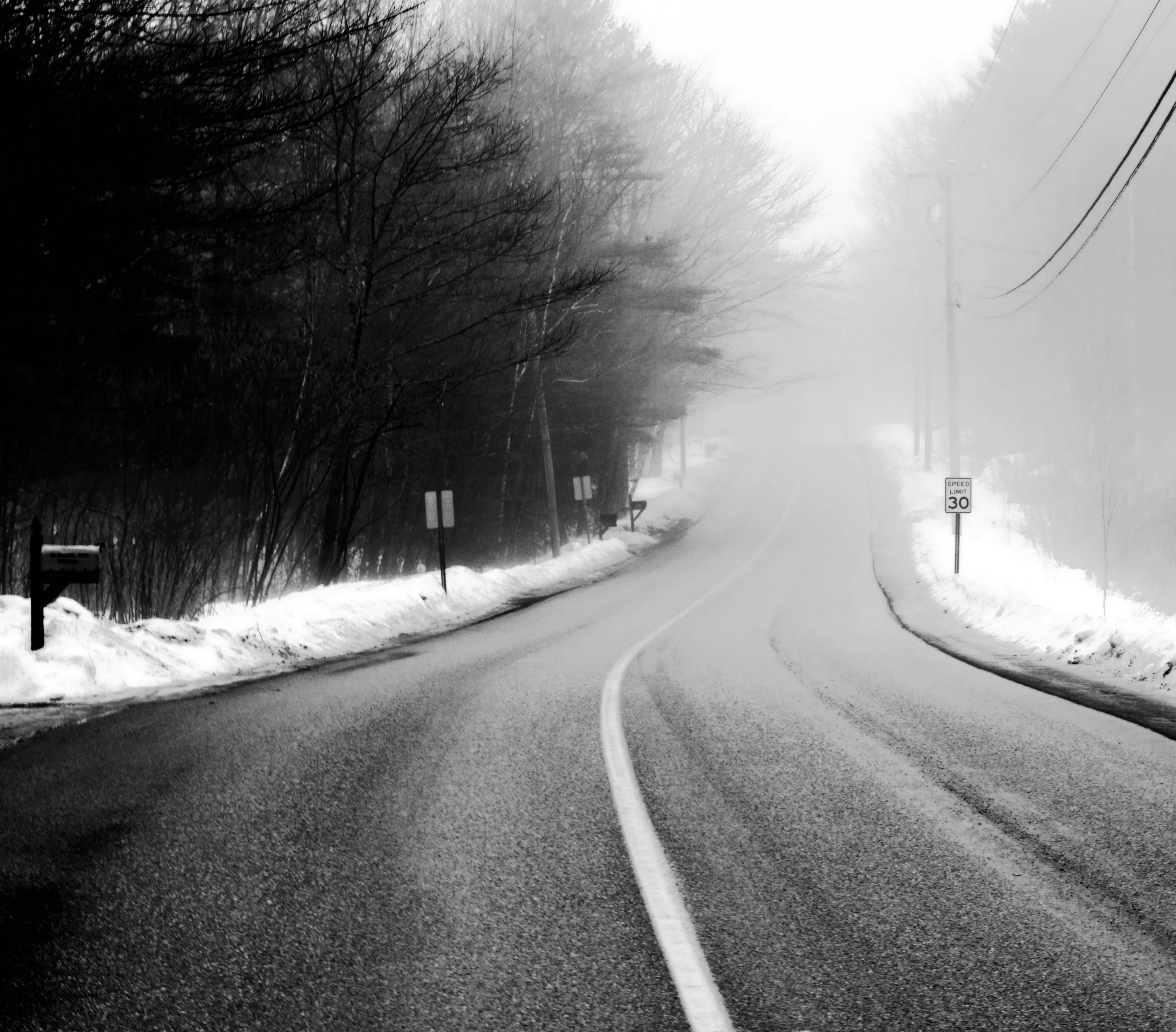 Into the Mist