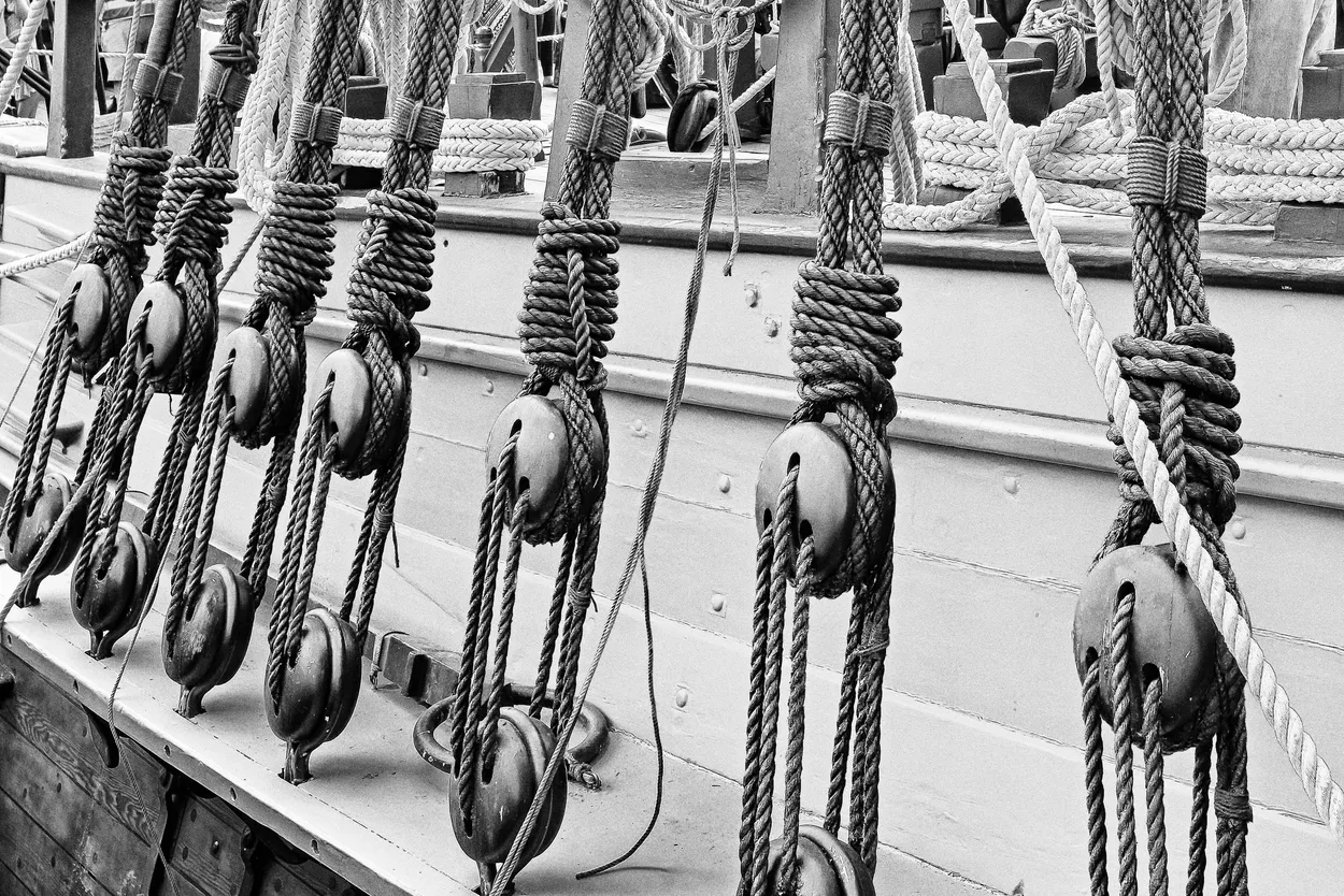 Entry 14913081