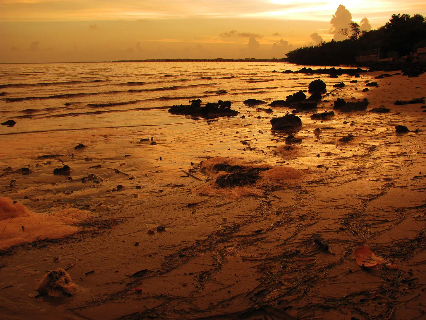 Port Charlotte