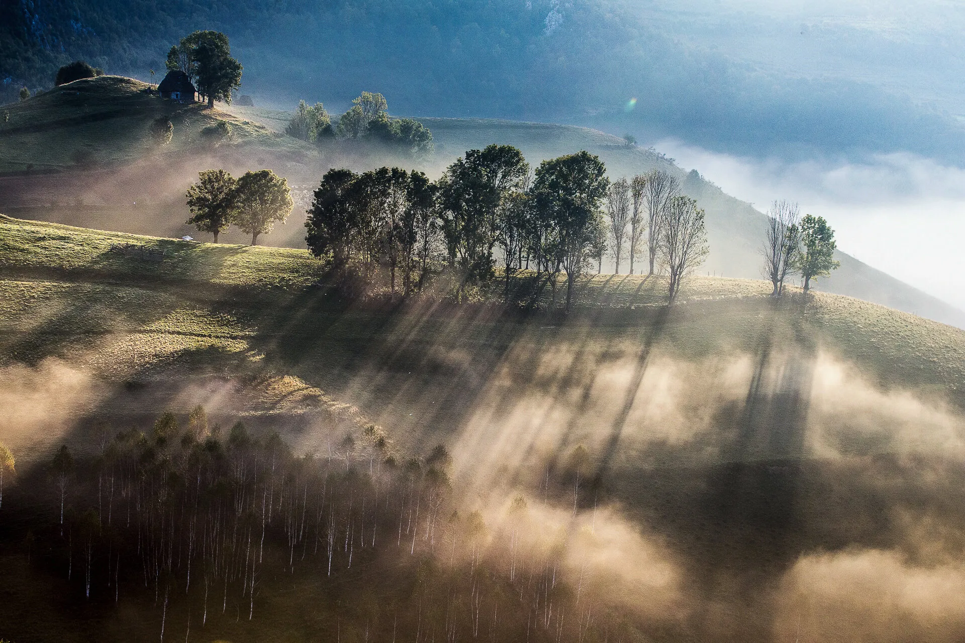 Shadows and lights