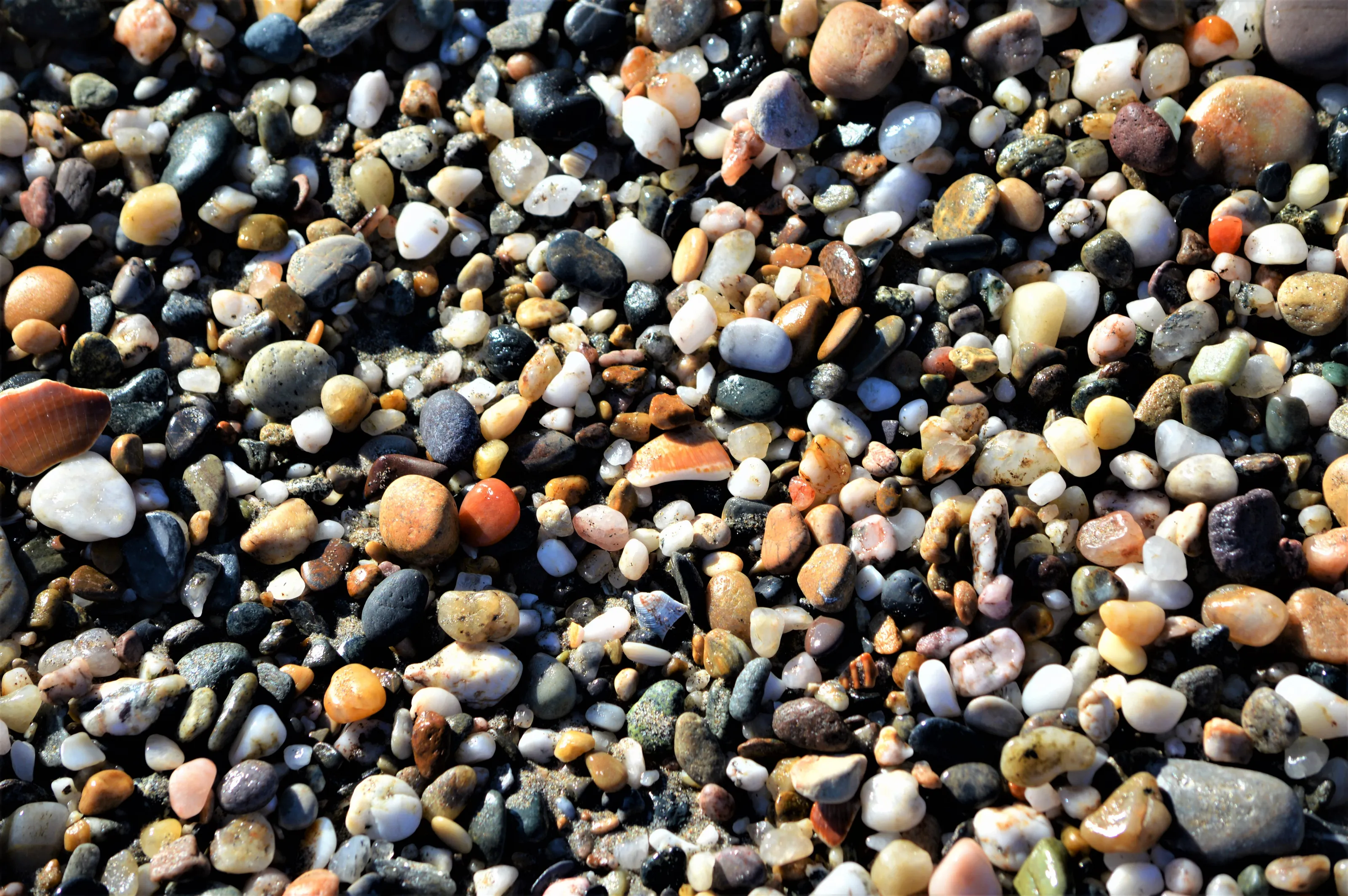 Beach Pebbles