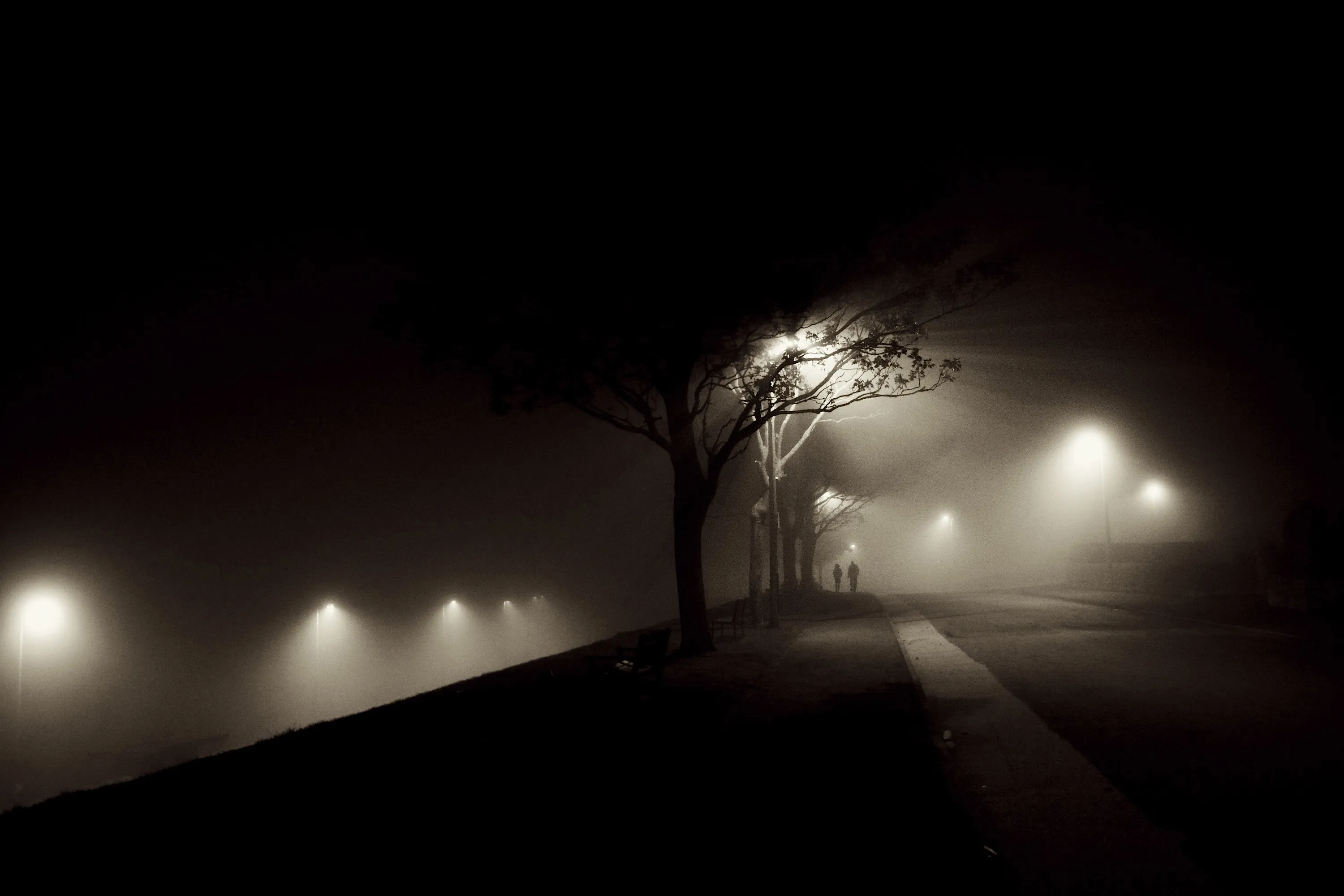 a walk in the fog