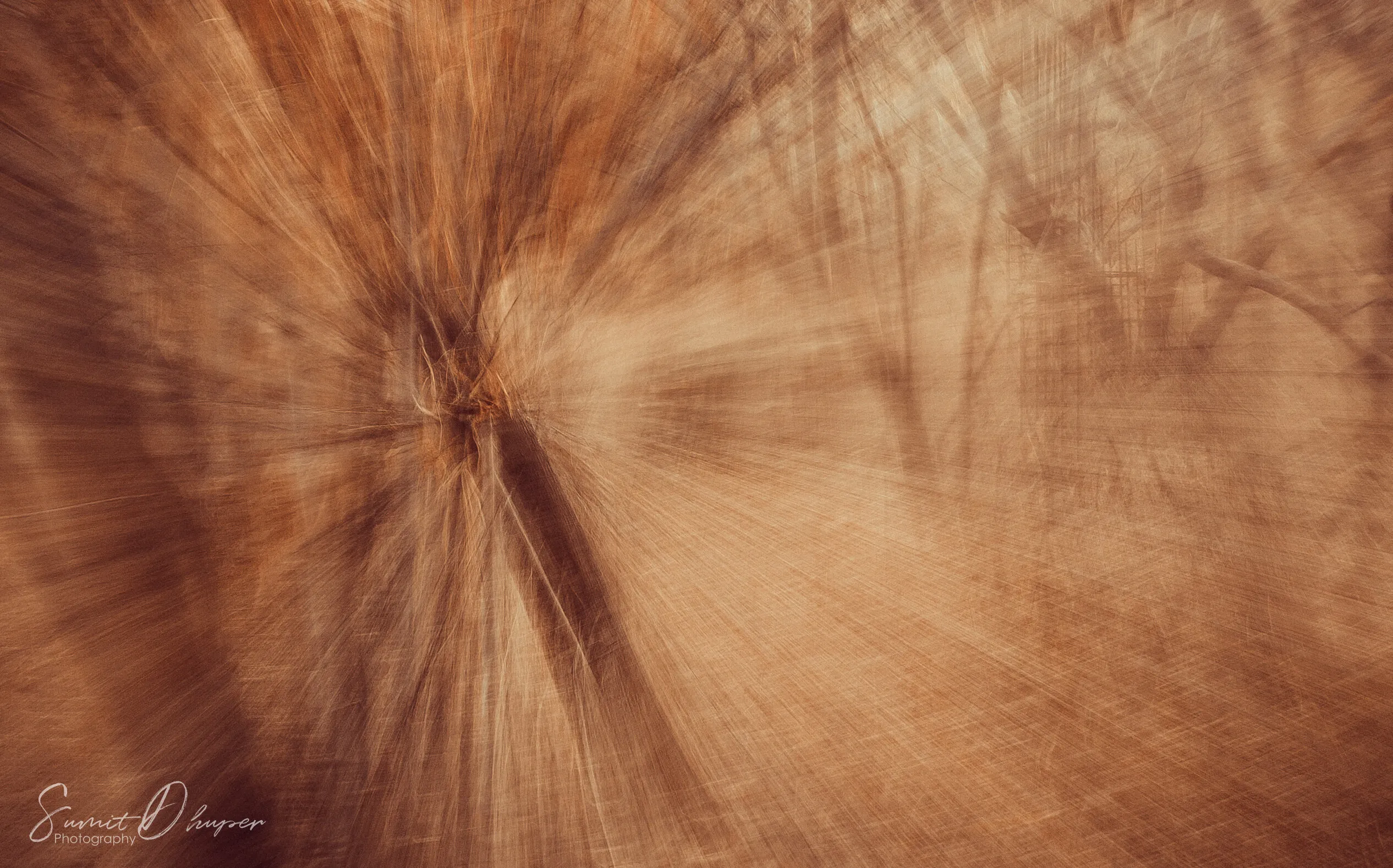 Motion ART