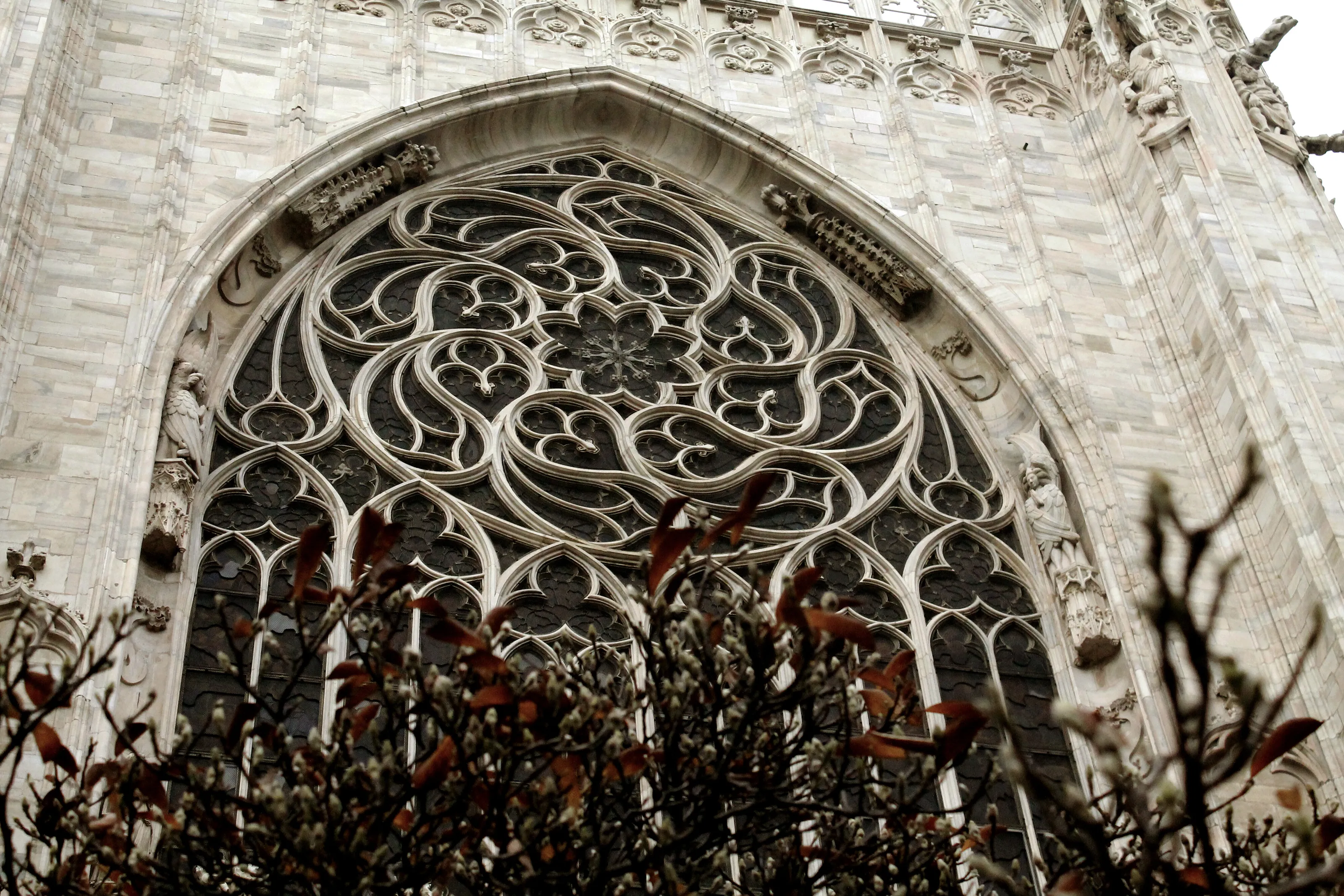 Milano Rosette