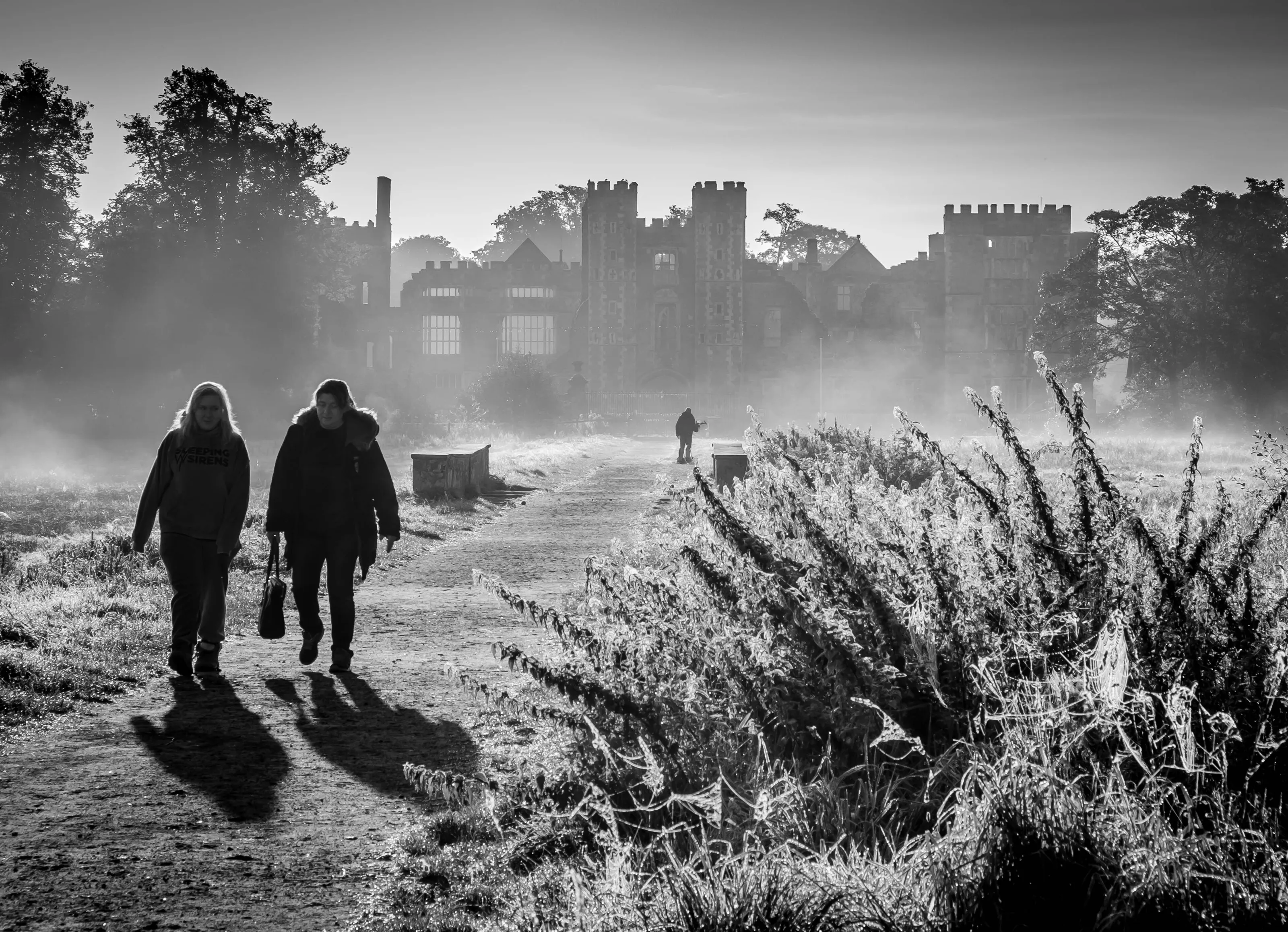 Early Morning at Cowdray Ruins