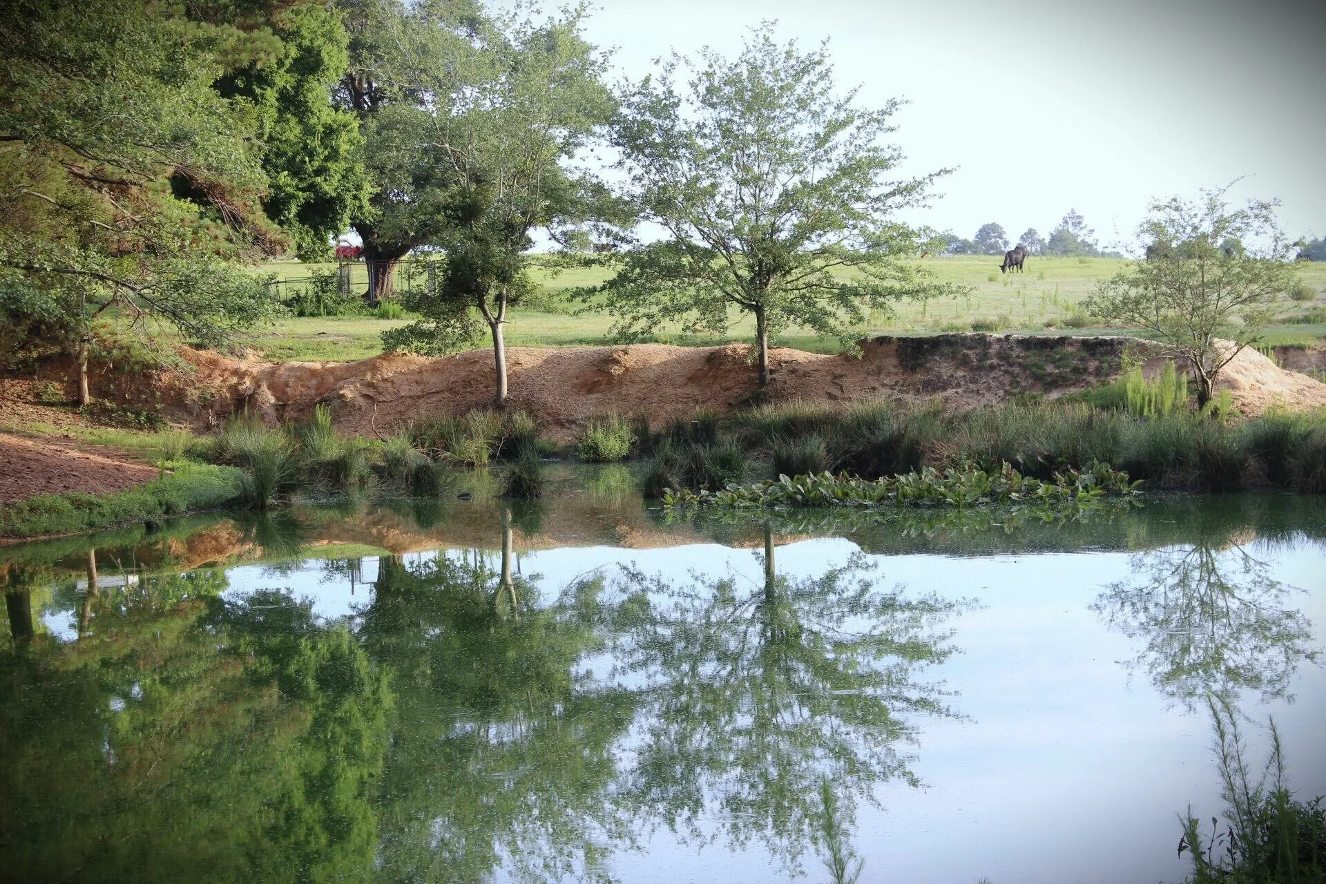 Pondering Reflection