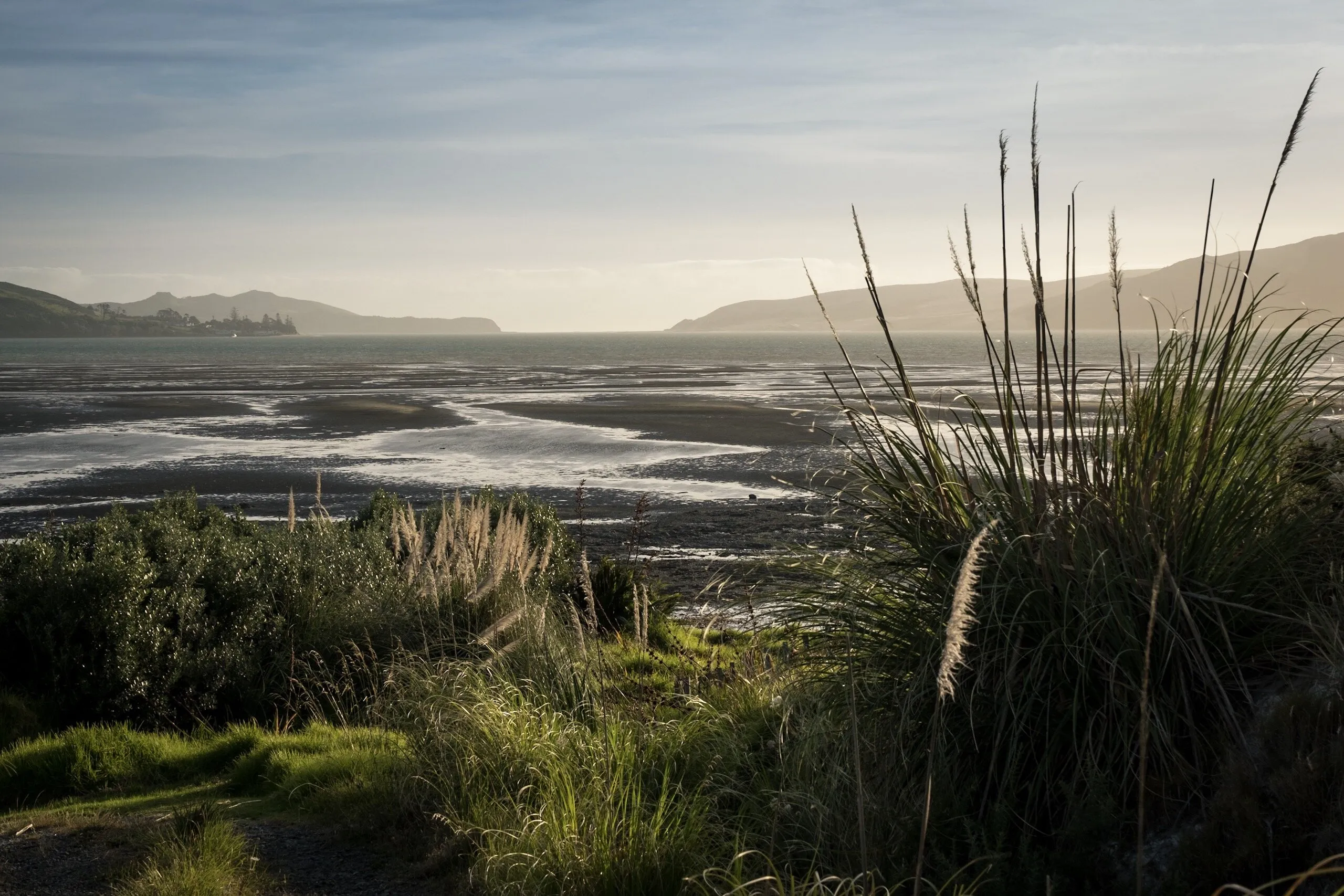 Hokianga Harbour