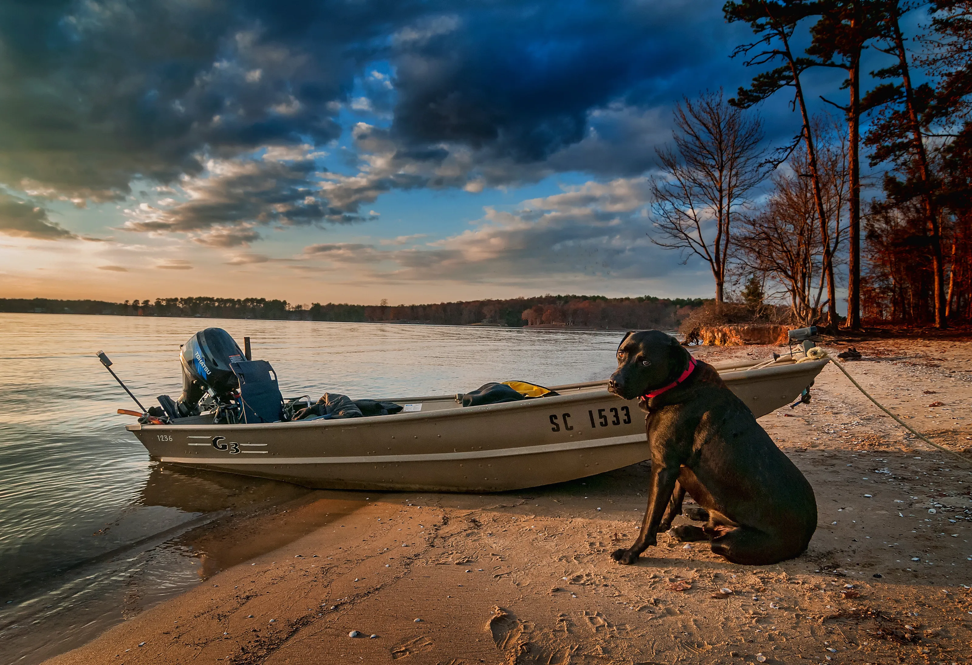Tucker waiting.