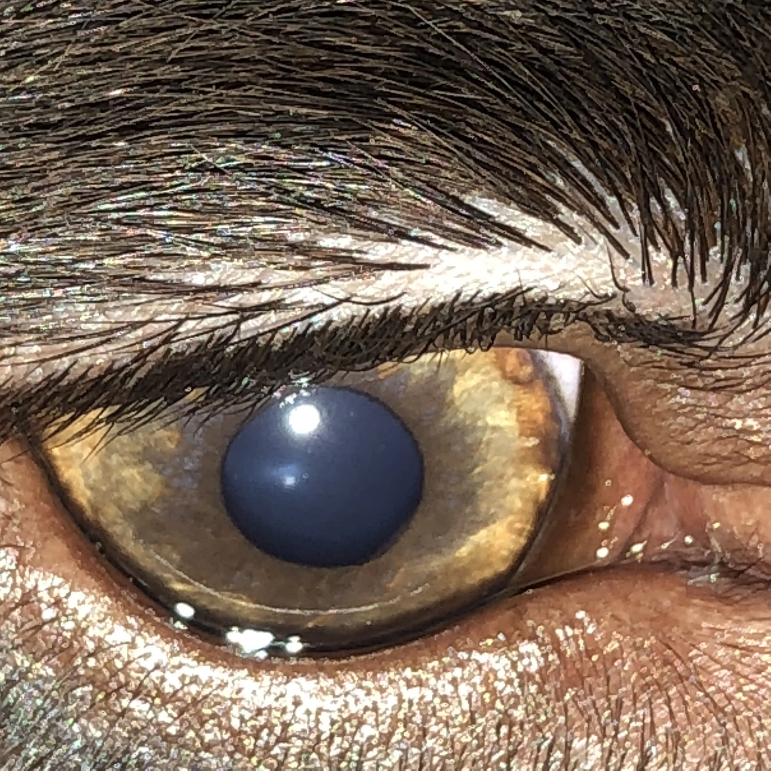 look into my eyes