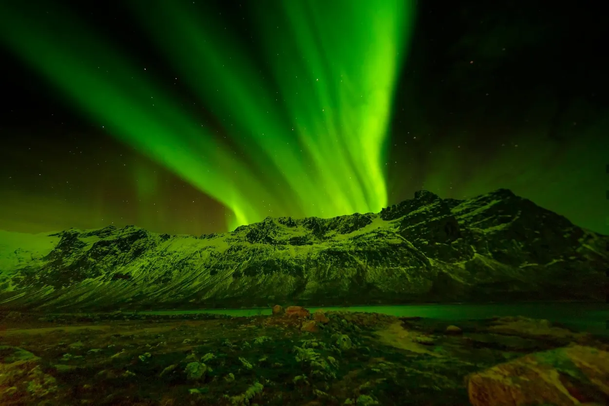 Entry 5591937