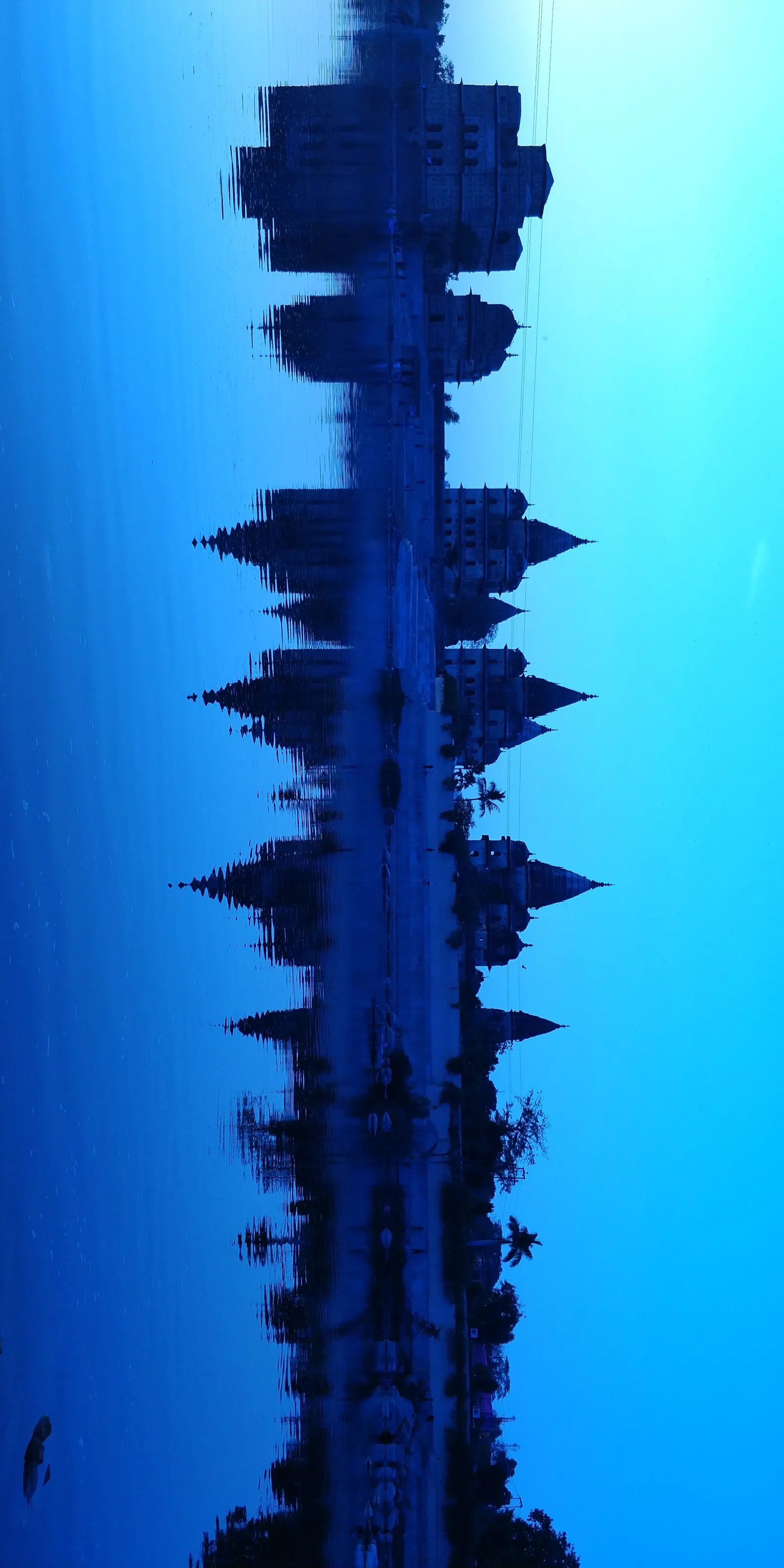 Pine tree - Sound waveforms - Scenary