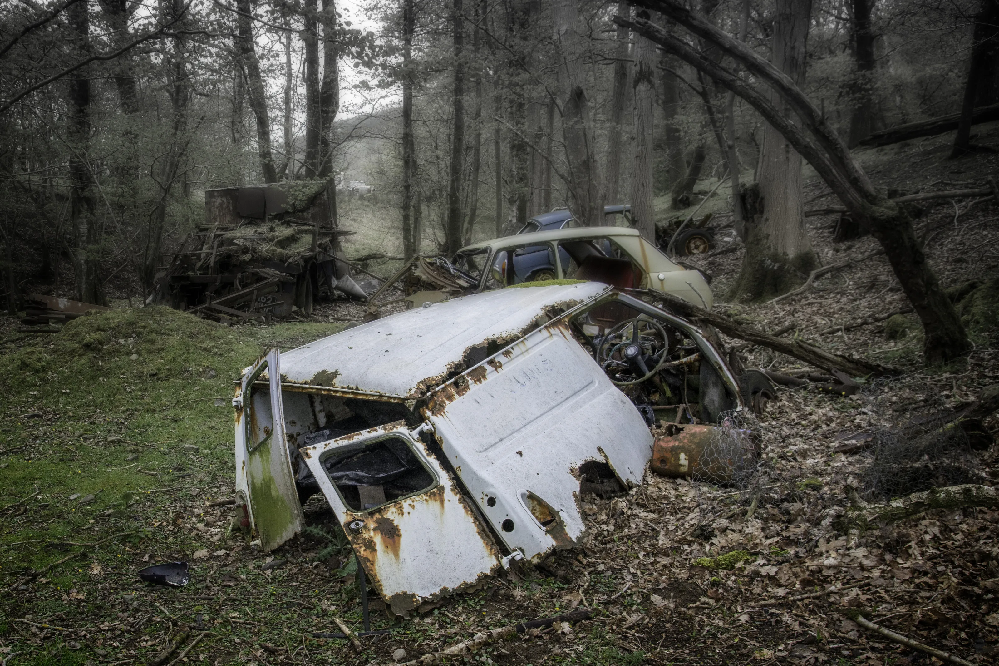 Abandoned Wood