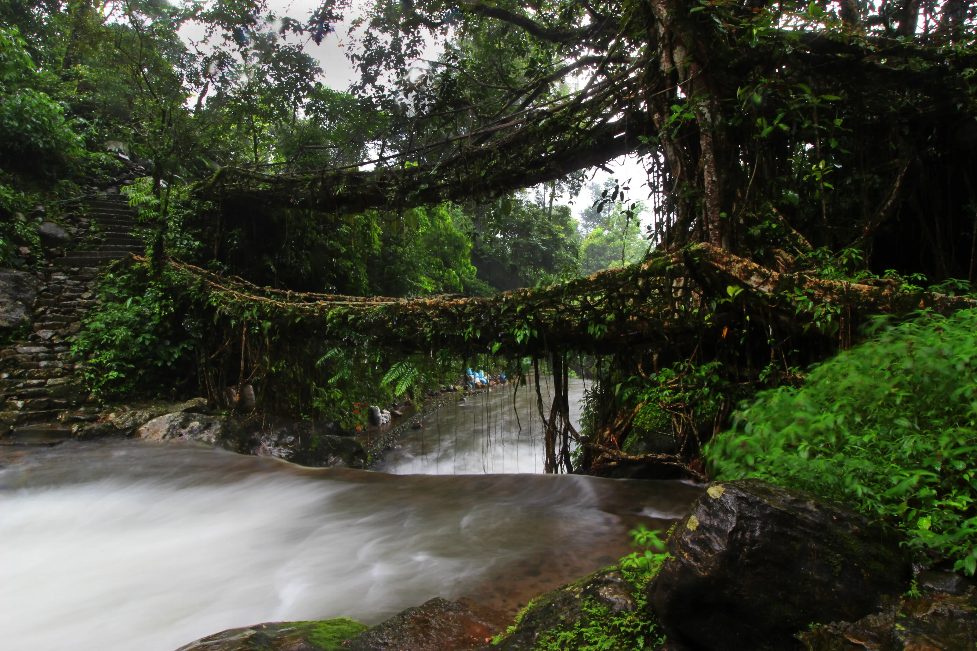 Nature's wonder, nurtured by nature lovers.