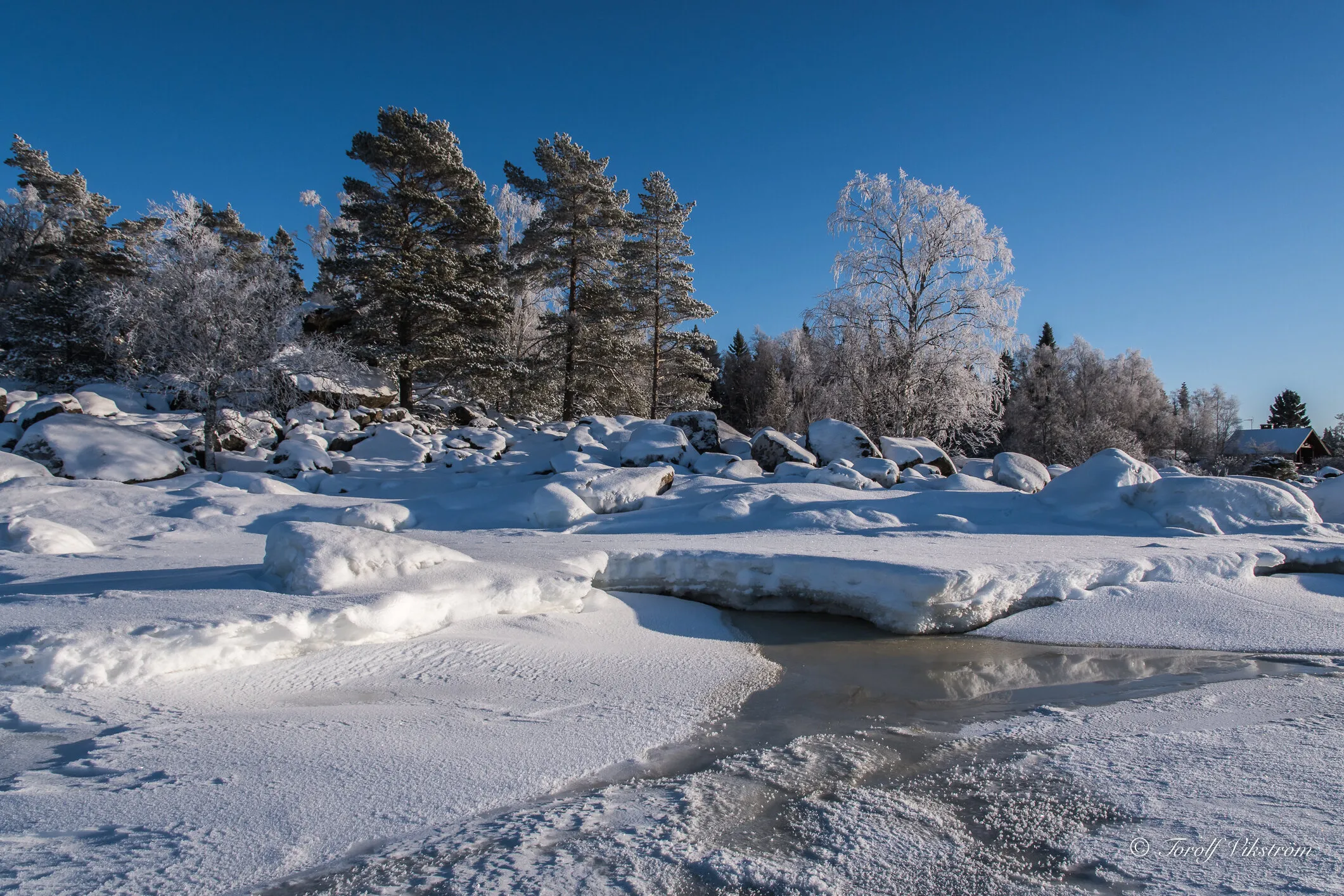 Winter