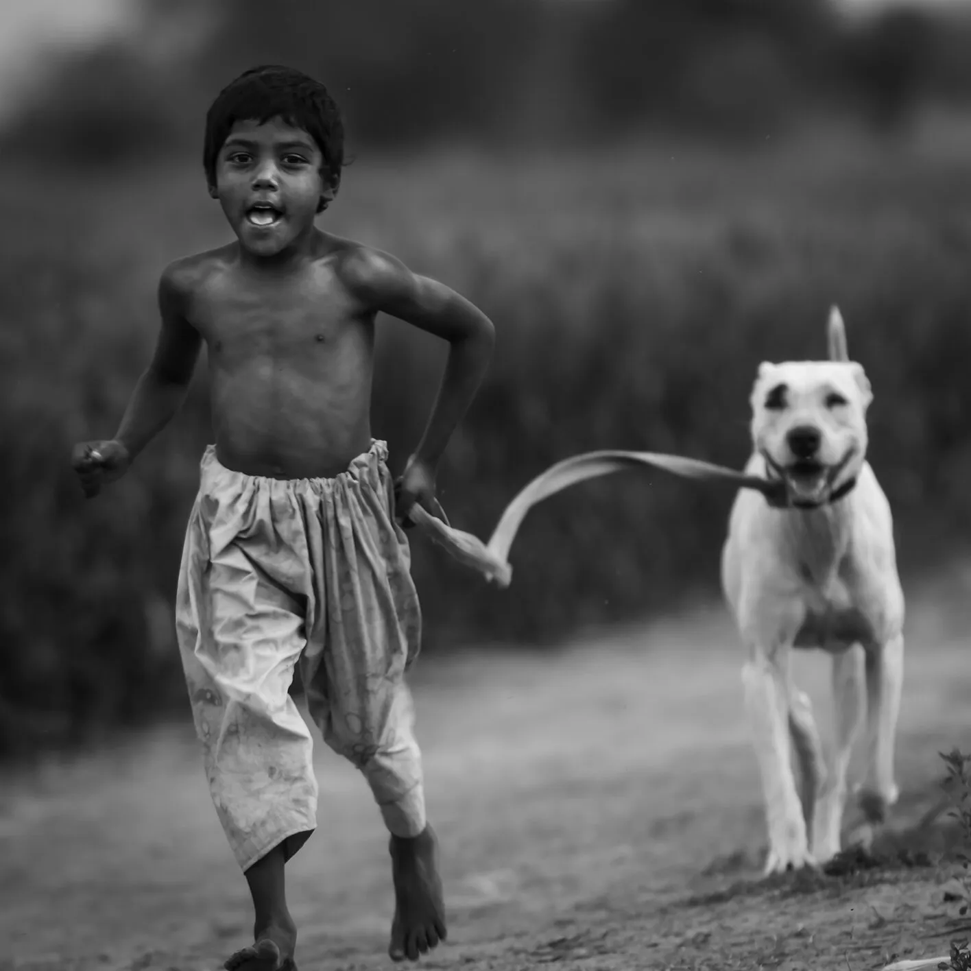 Race