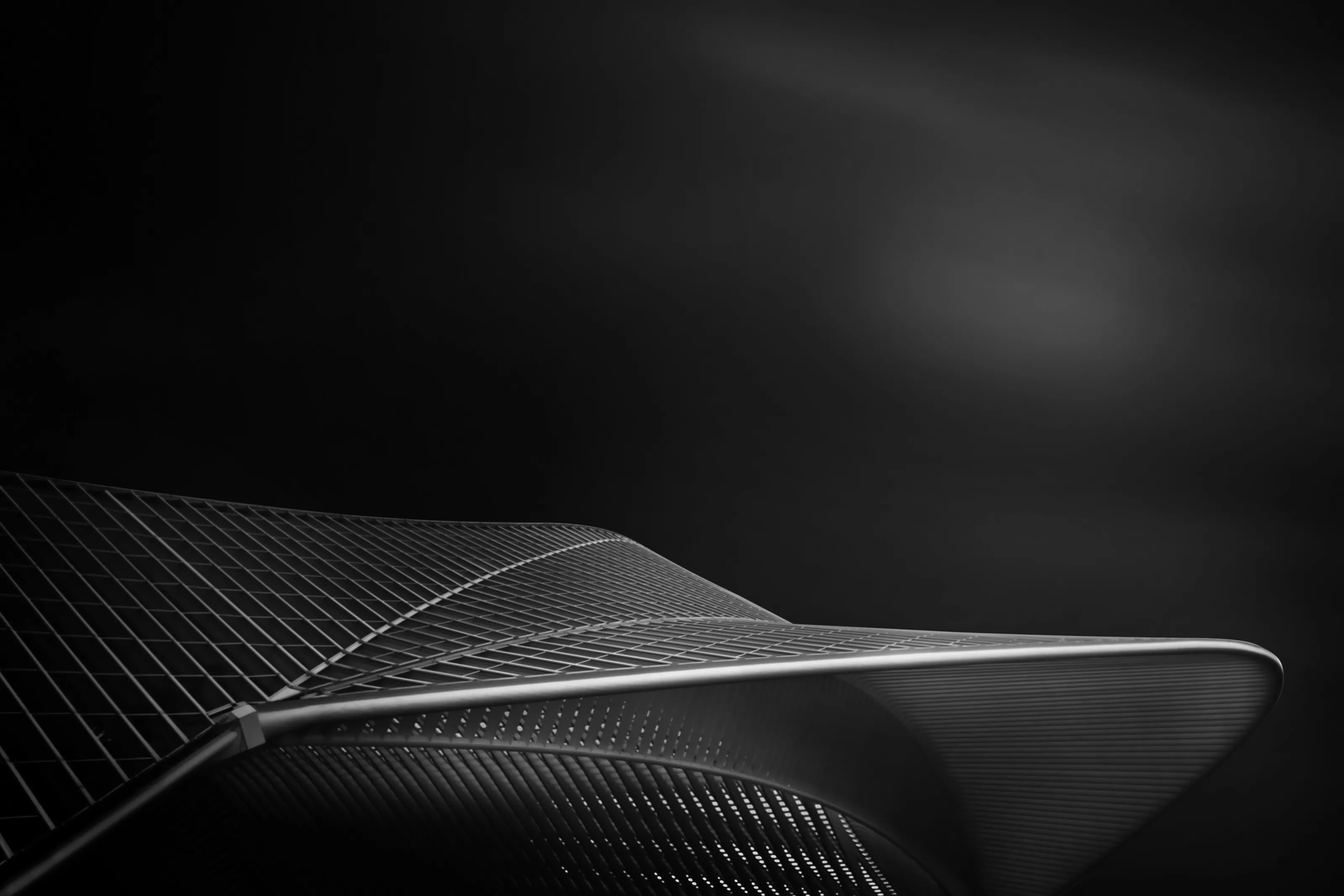 Guillemins Fine Art Project