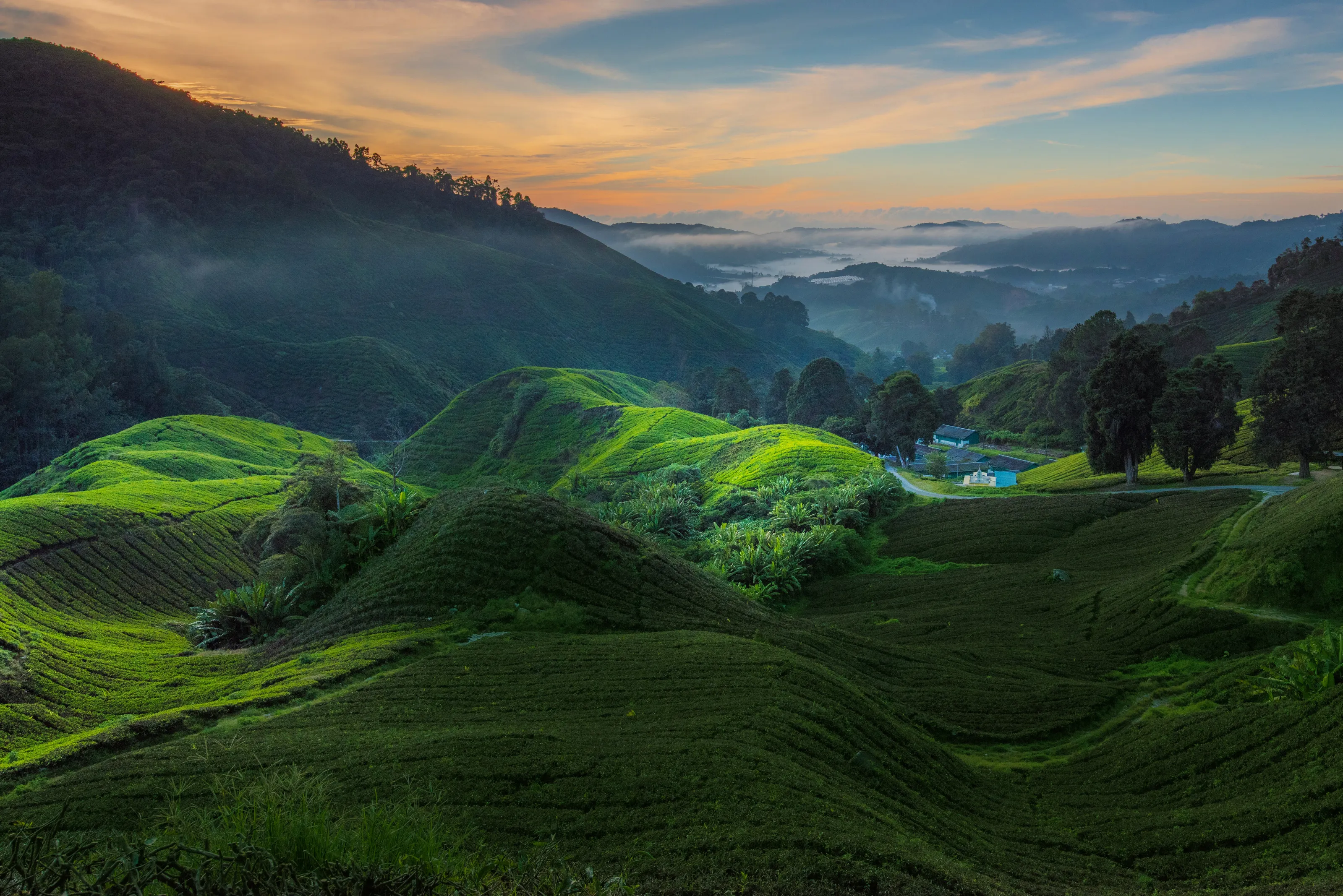 Sunrise