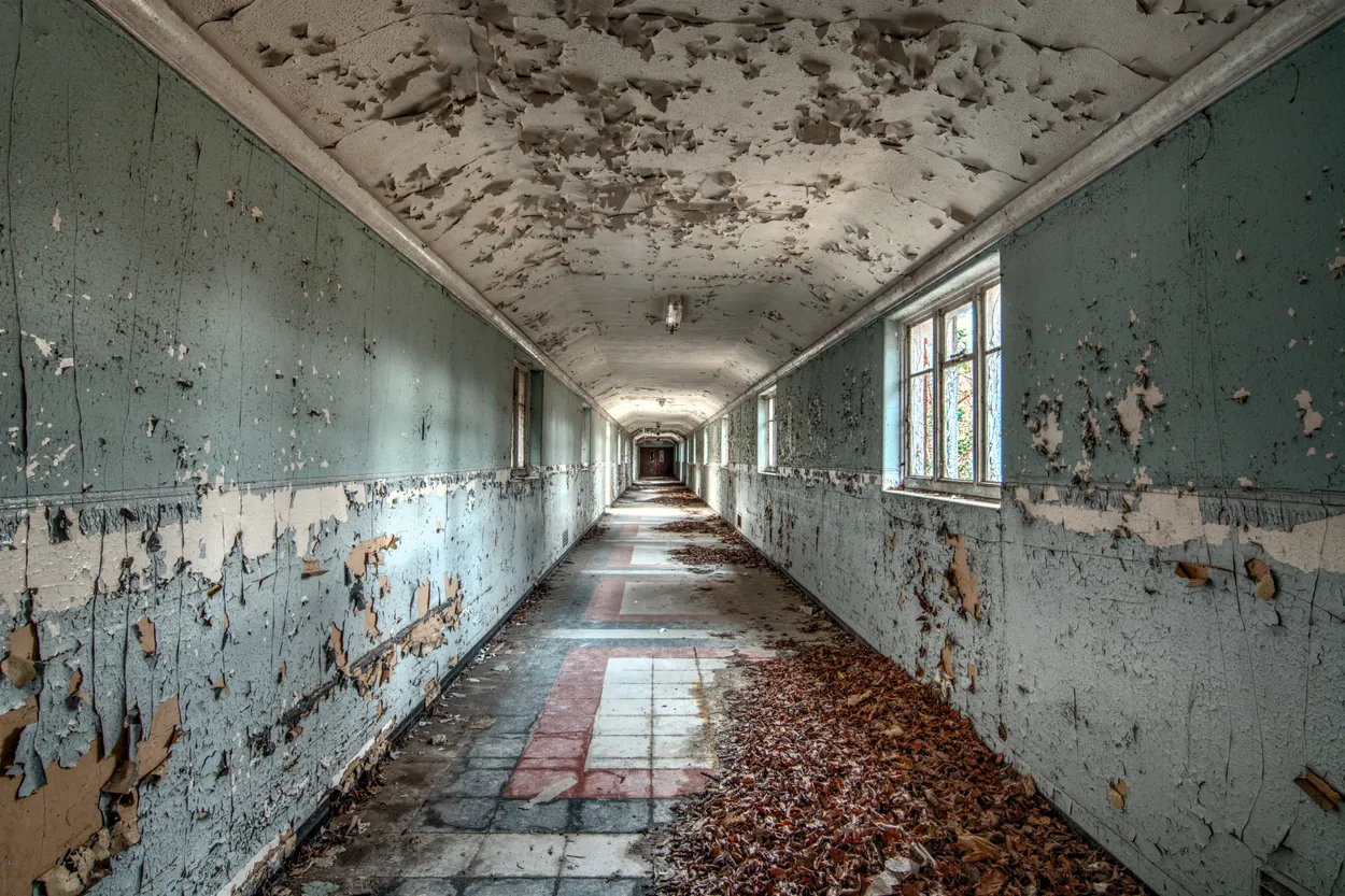 Entry 119353