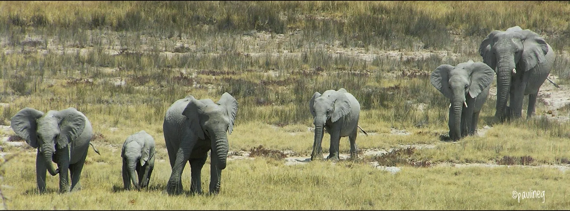 Trunk Rd