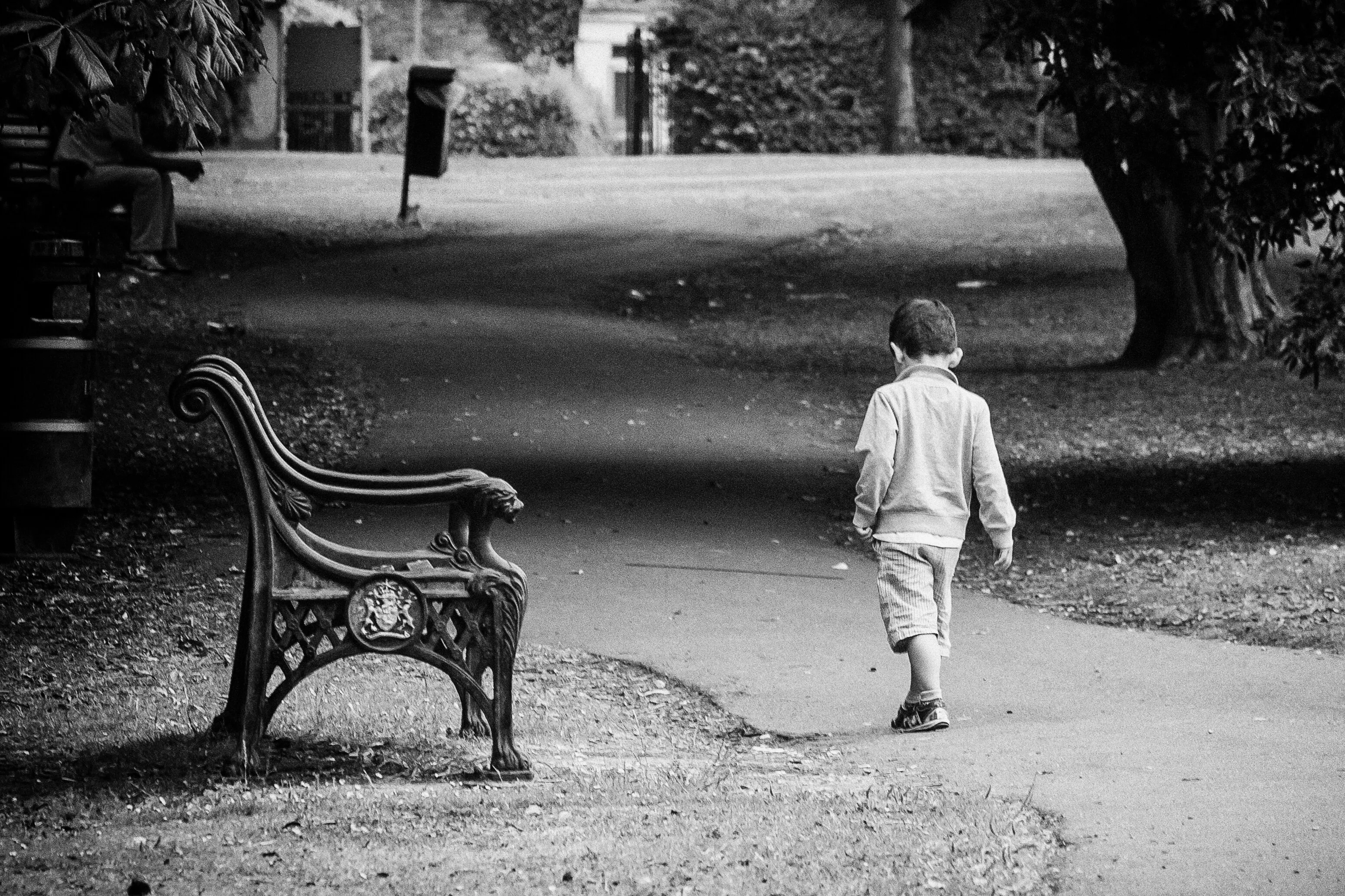 Our life path