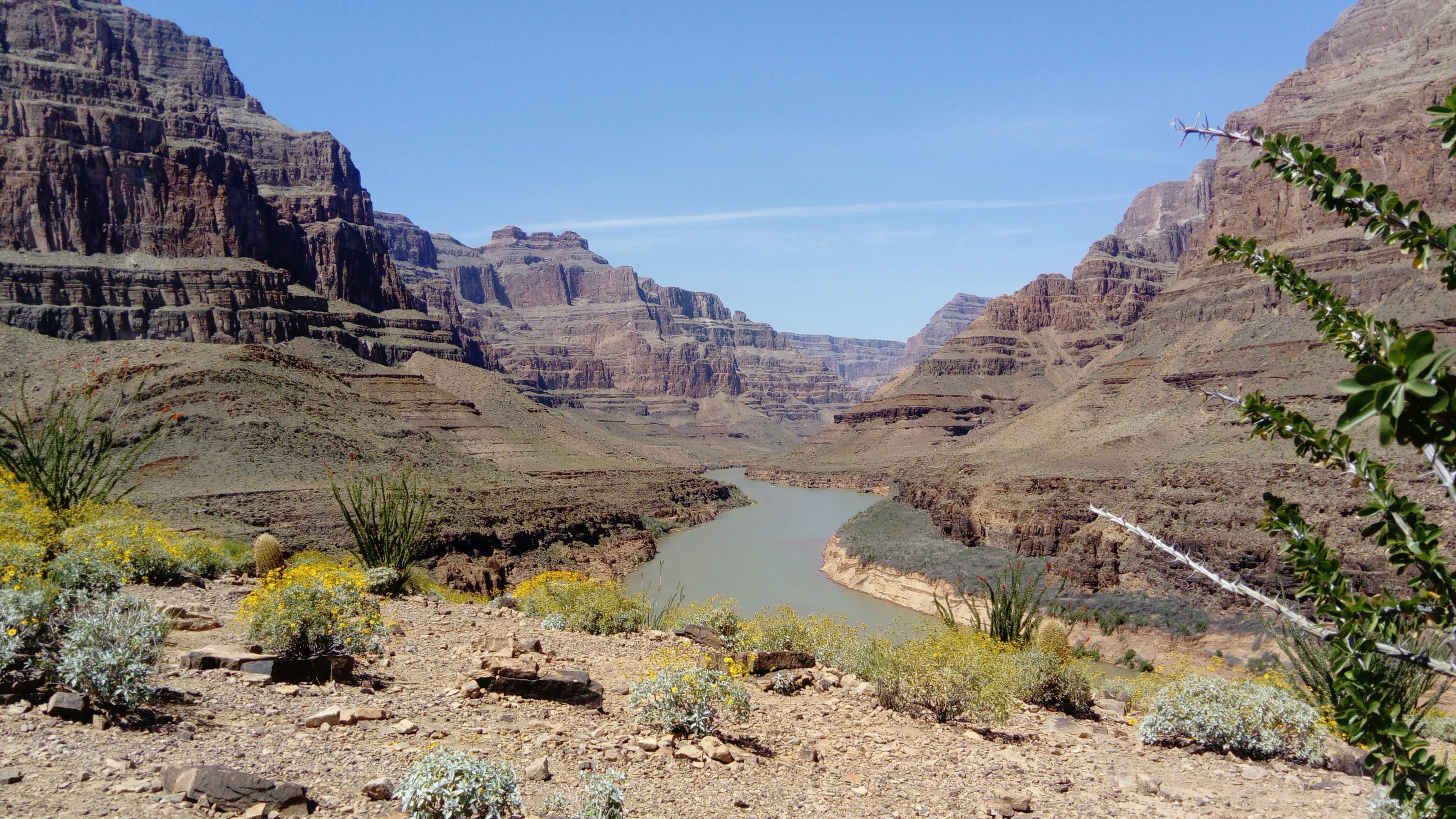 Blue Sky Grand Canyon
