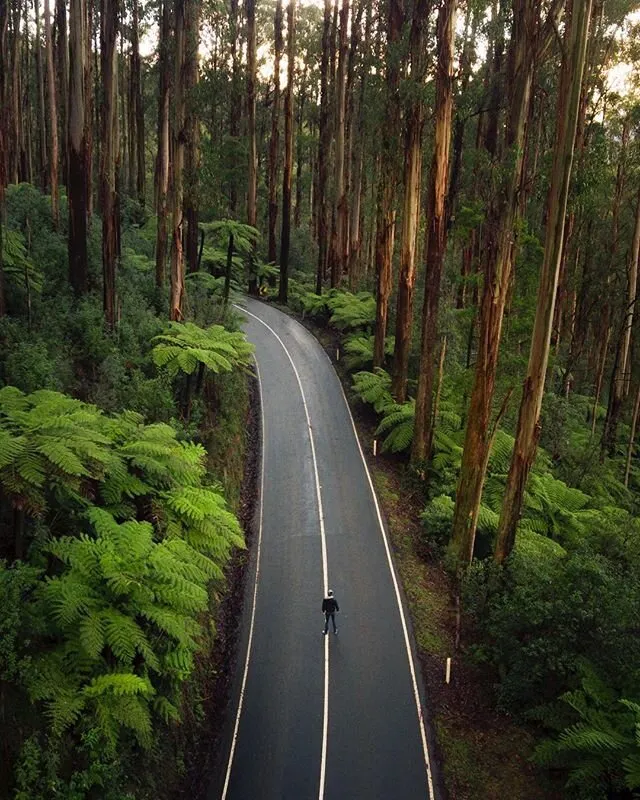 Black Spur