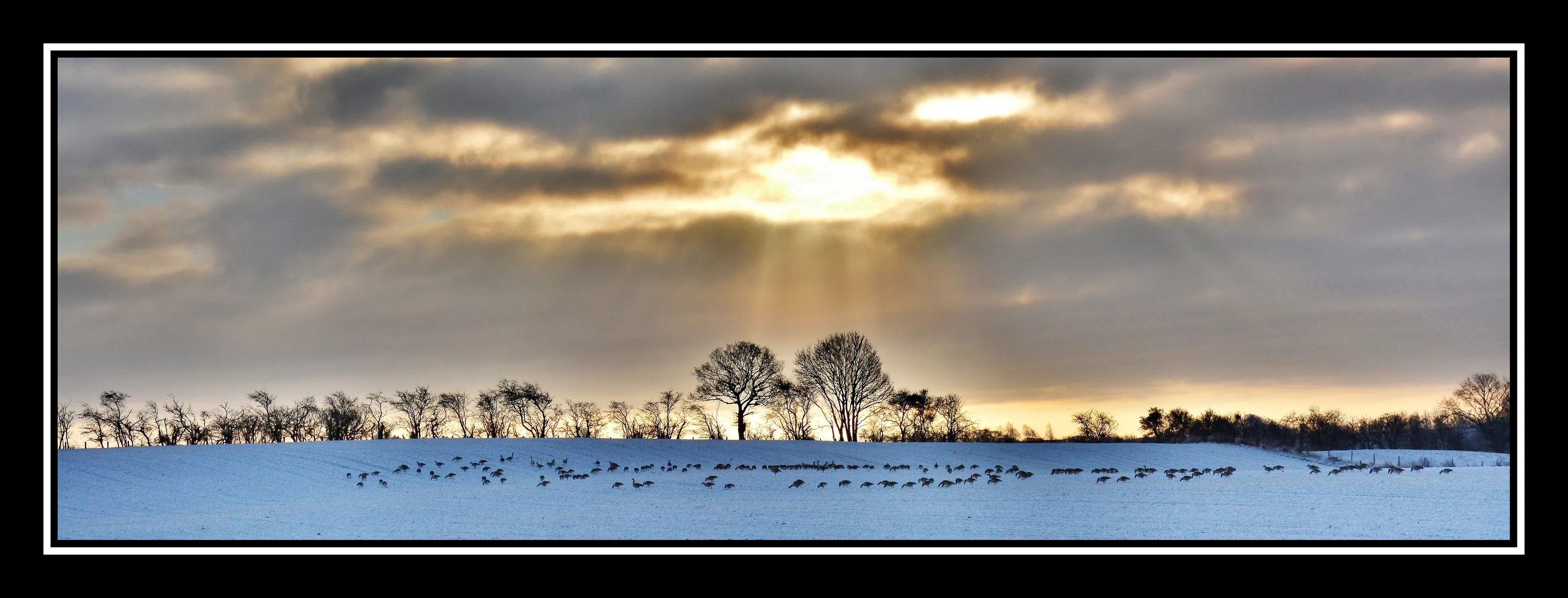 Shuttington sunsrise