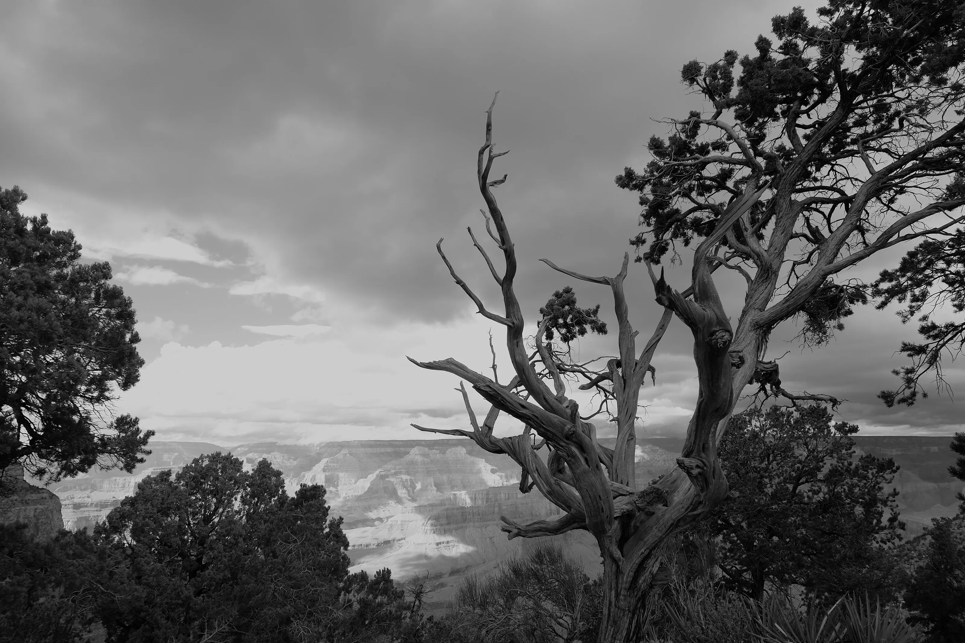 Hermit's Rest