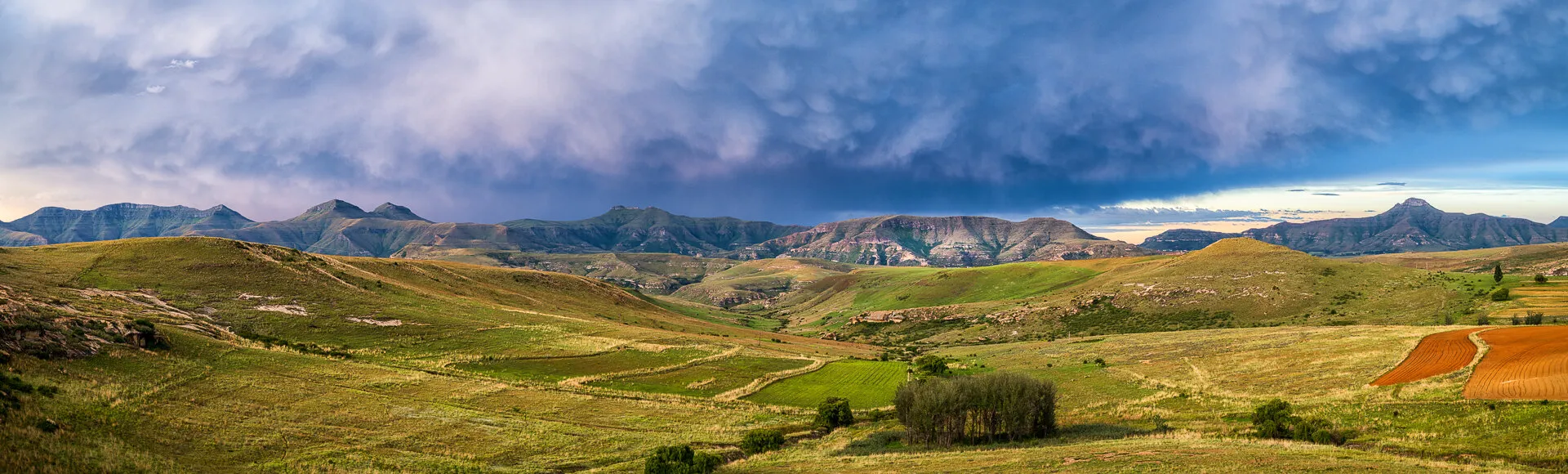 After the storm