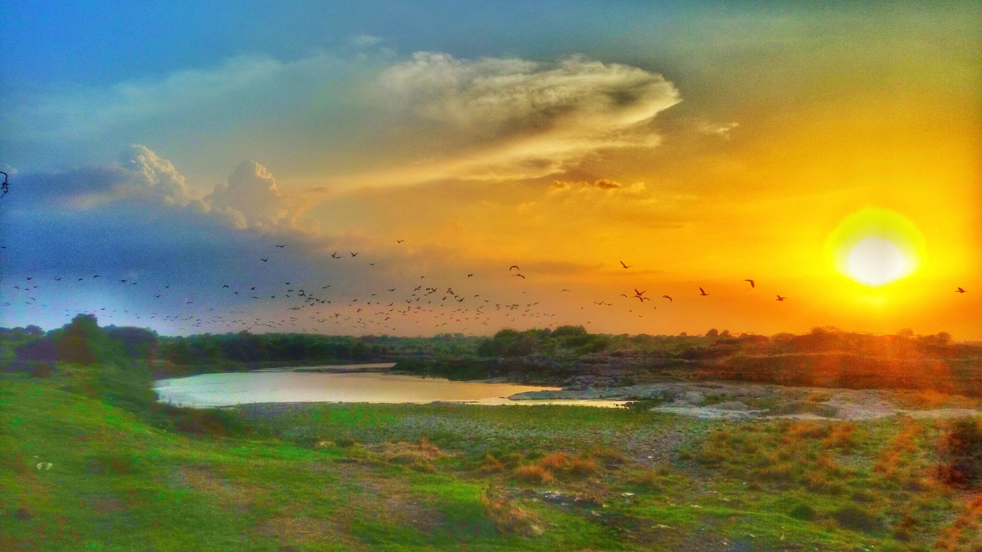Freedom of the sky but sky is not the limit
