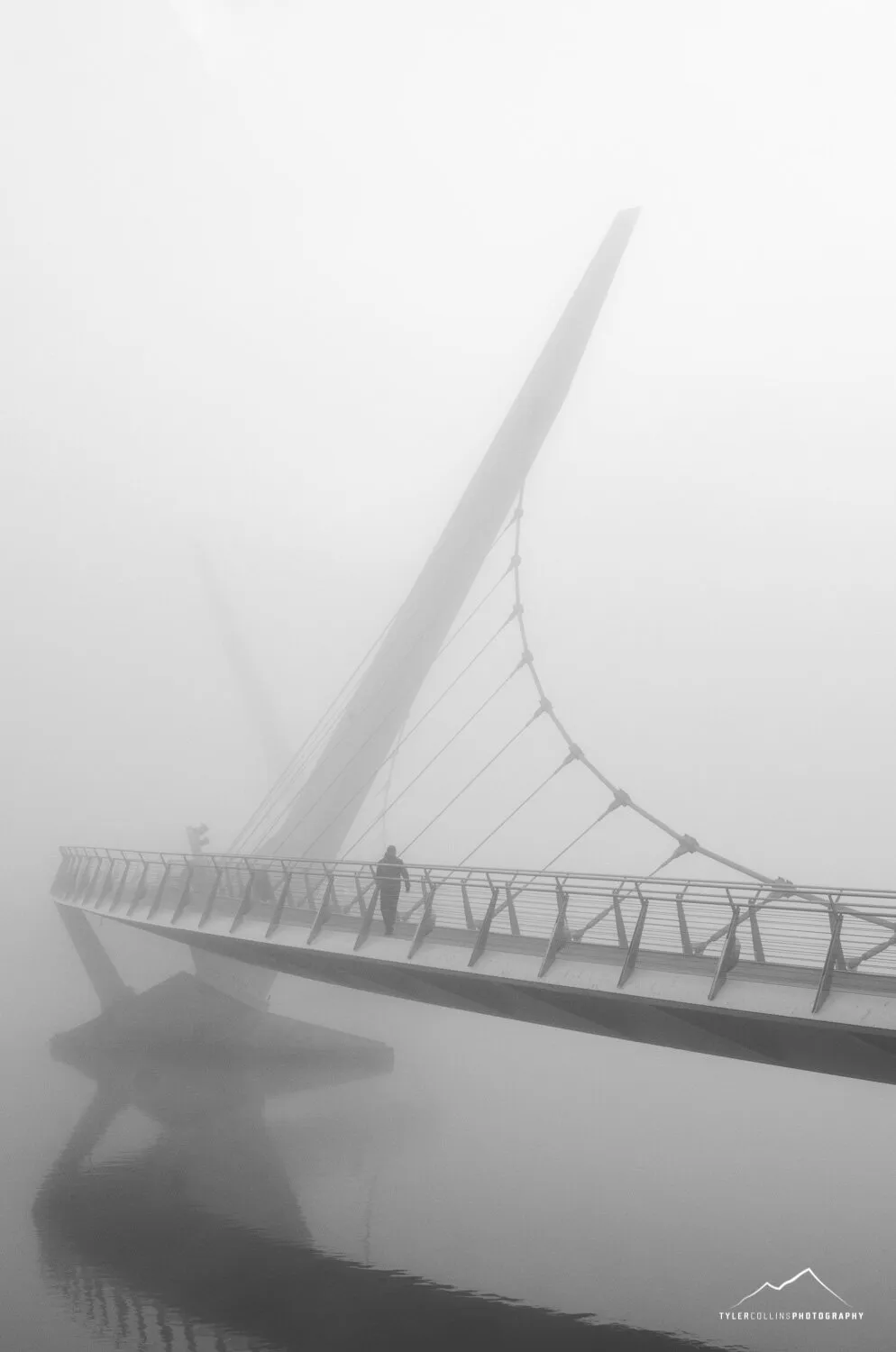 Let us go in; the fog is rising.